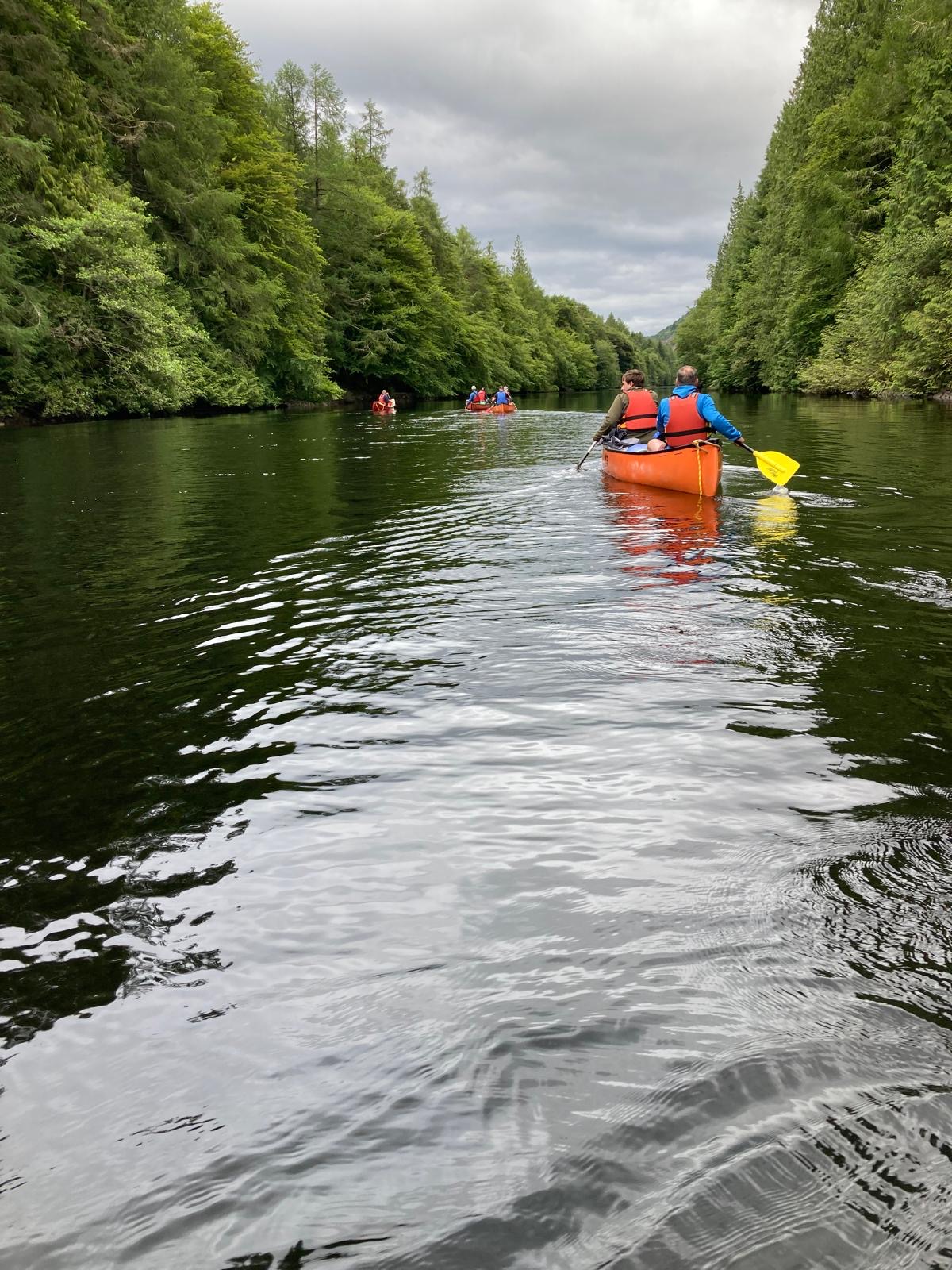 media_92Q477RFB546B3NF