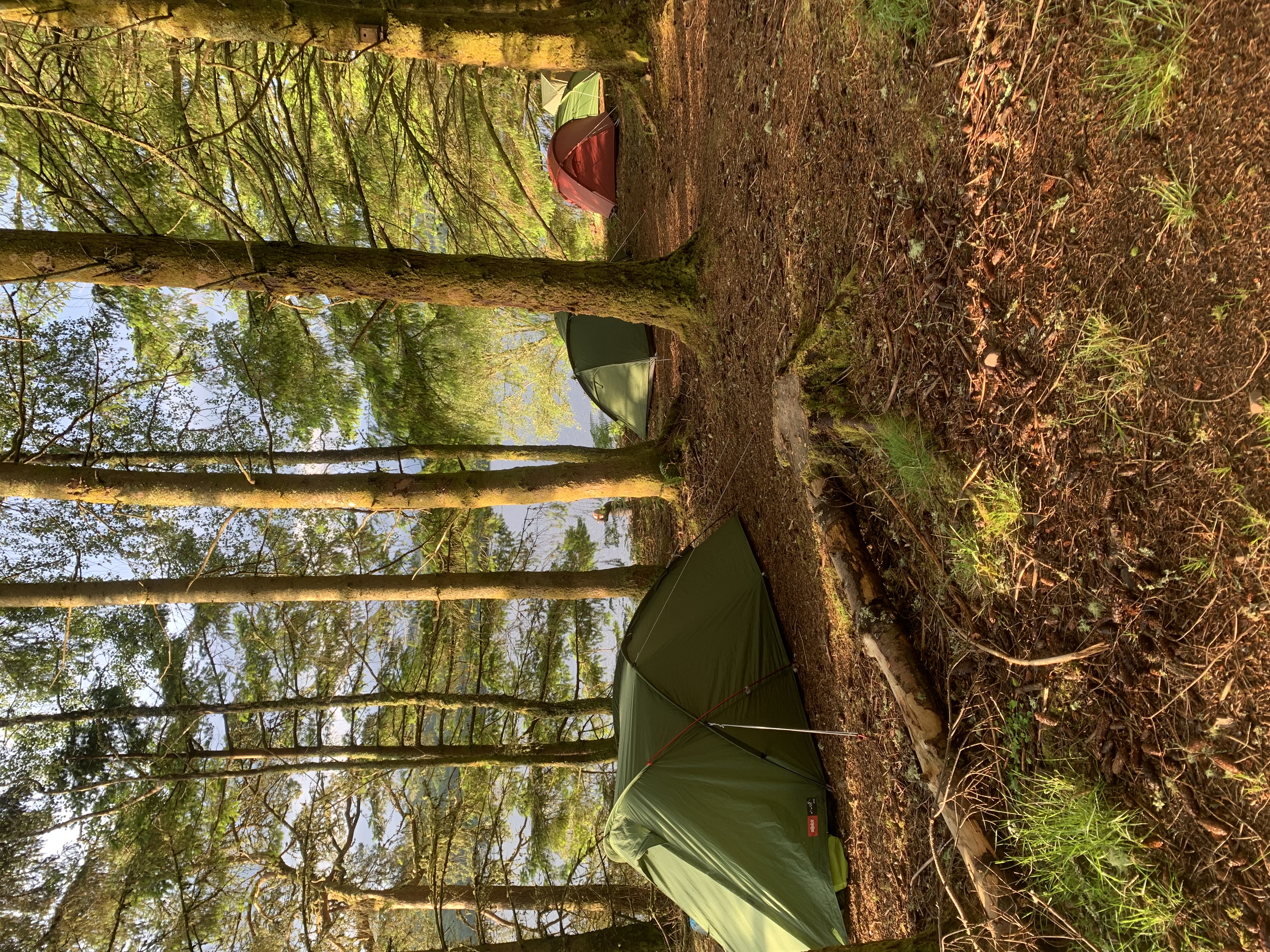 media_Q7QHATFNVJEVXQ95