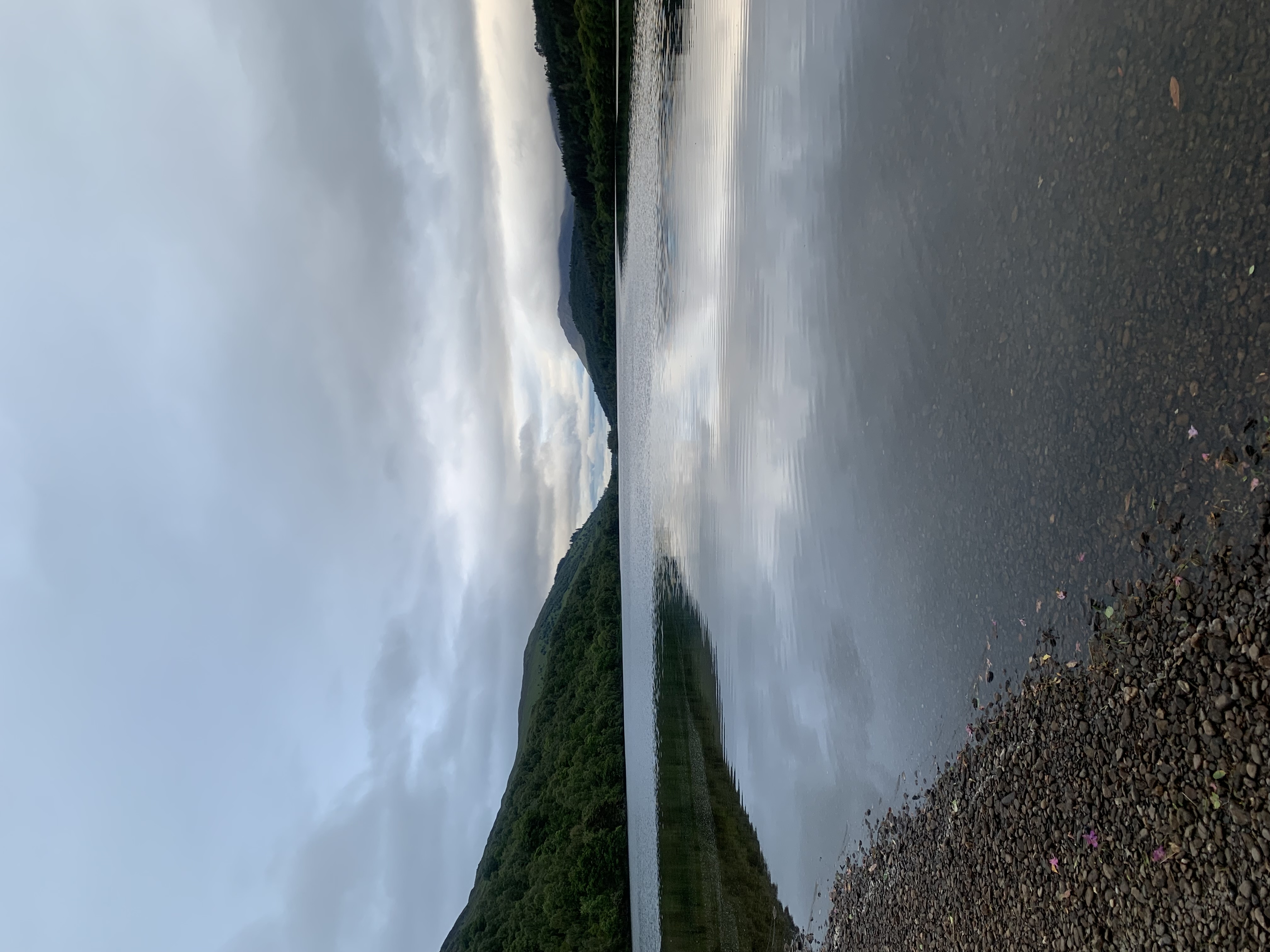 media_XUZ86NPYL7FKMSNJ