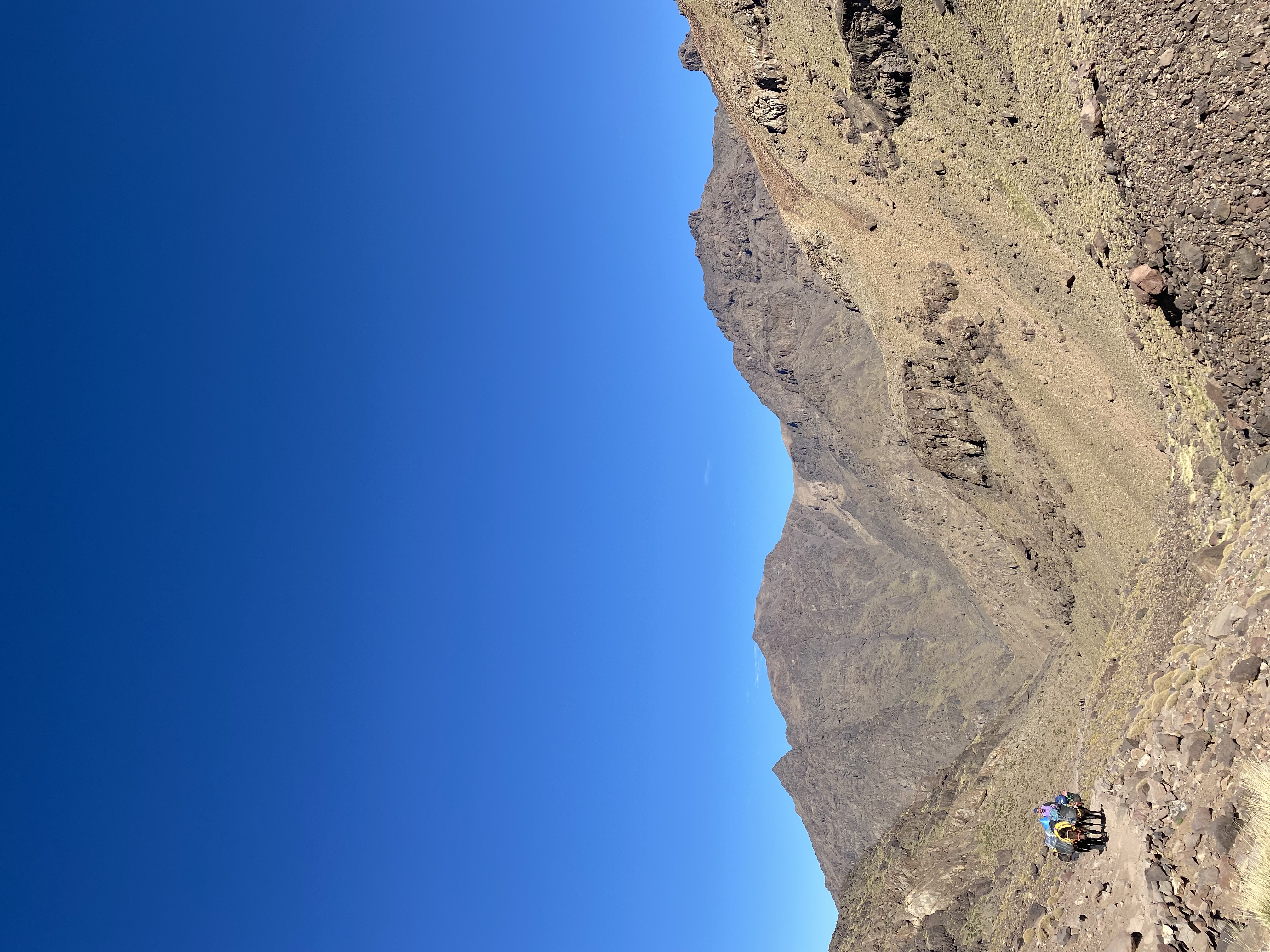 media_LNHWMJ8AHJRPSGK8