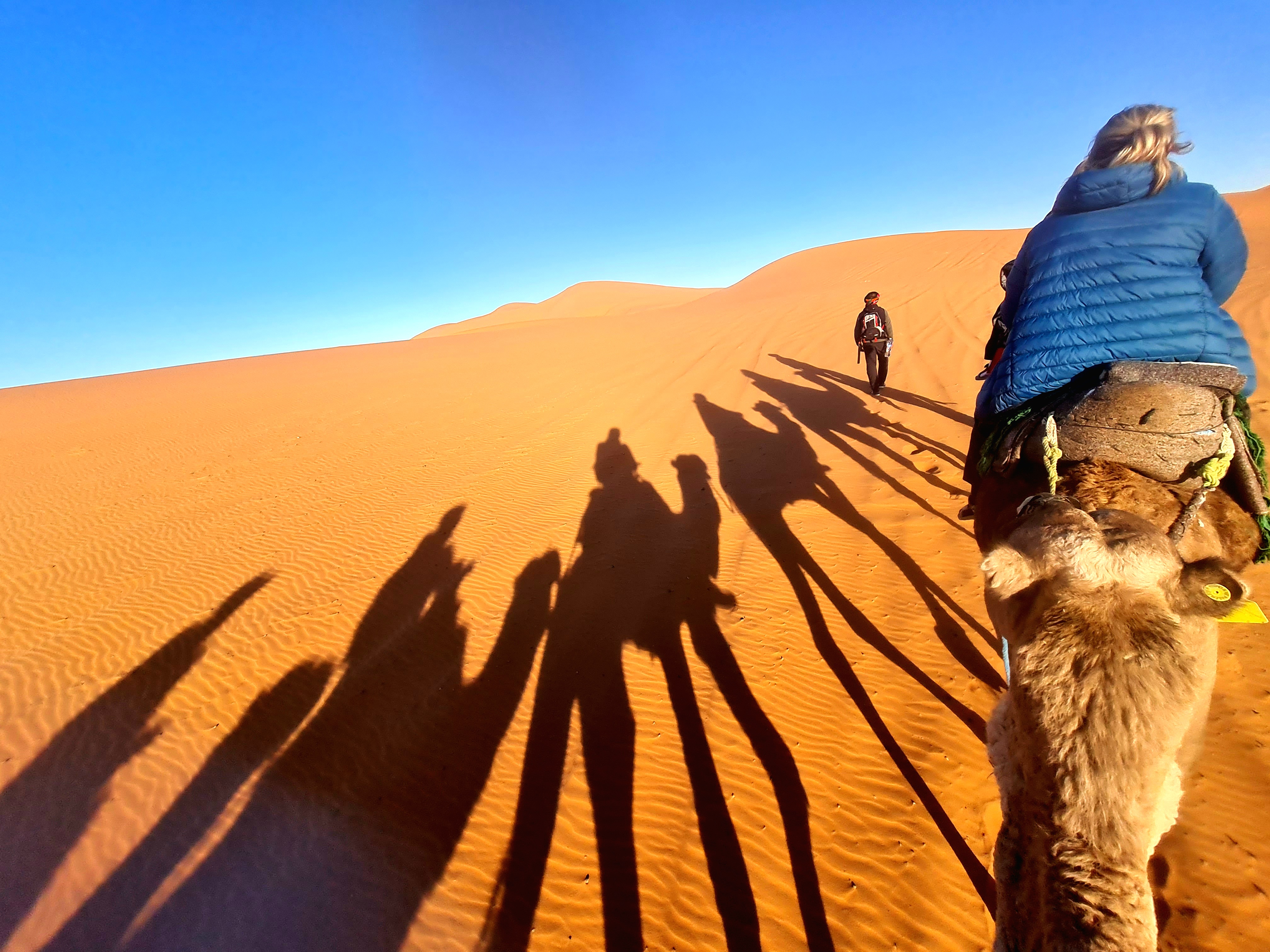 media_GCQTZY83SJN652M3