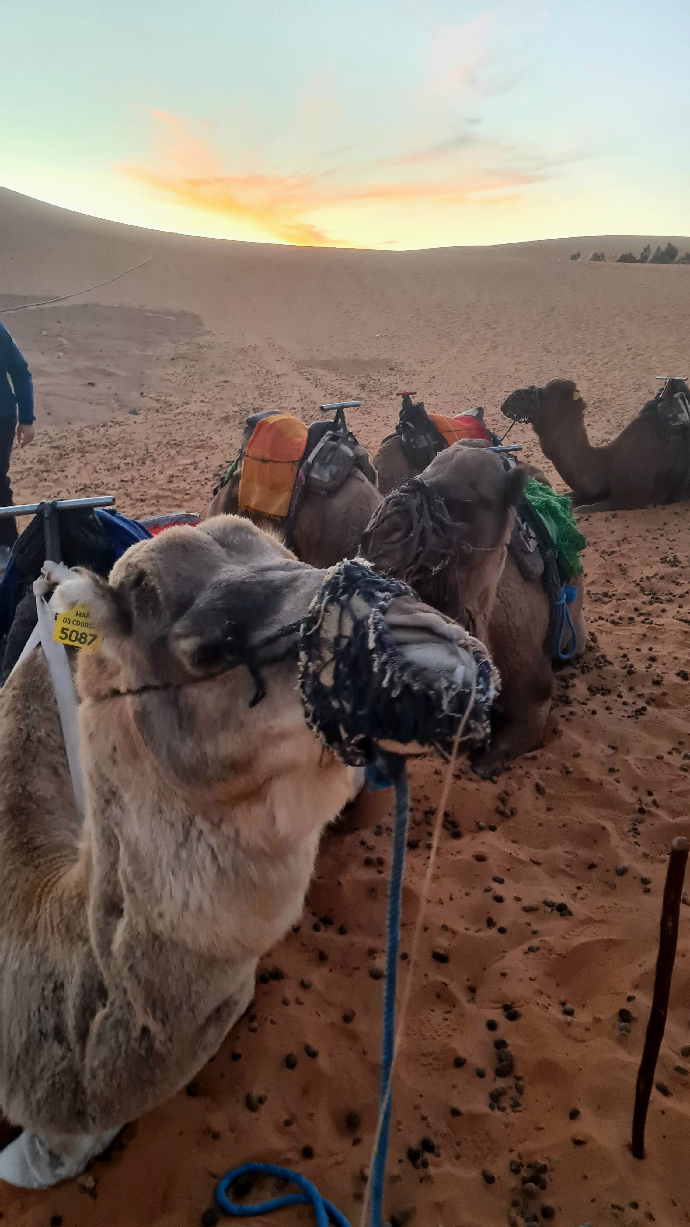 media_N6XNKR2HU4XFW46T