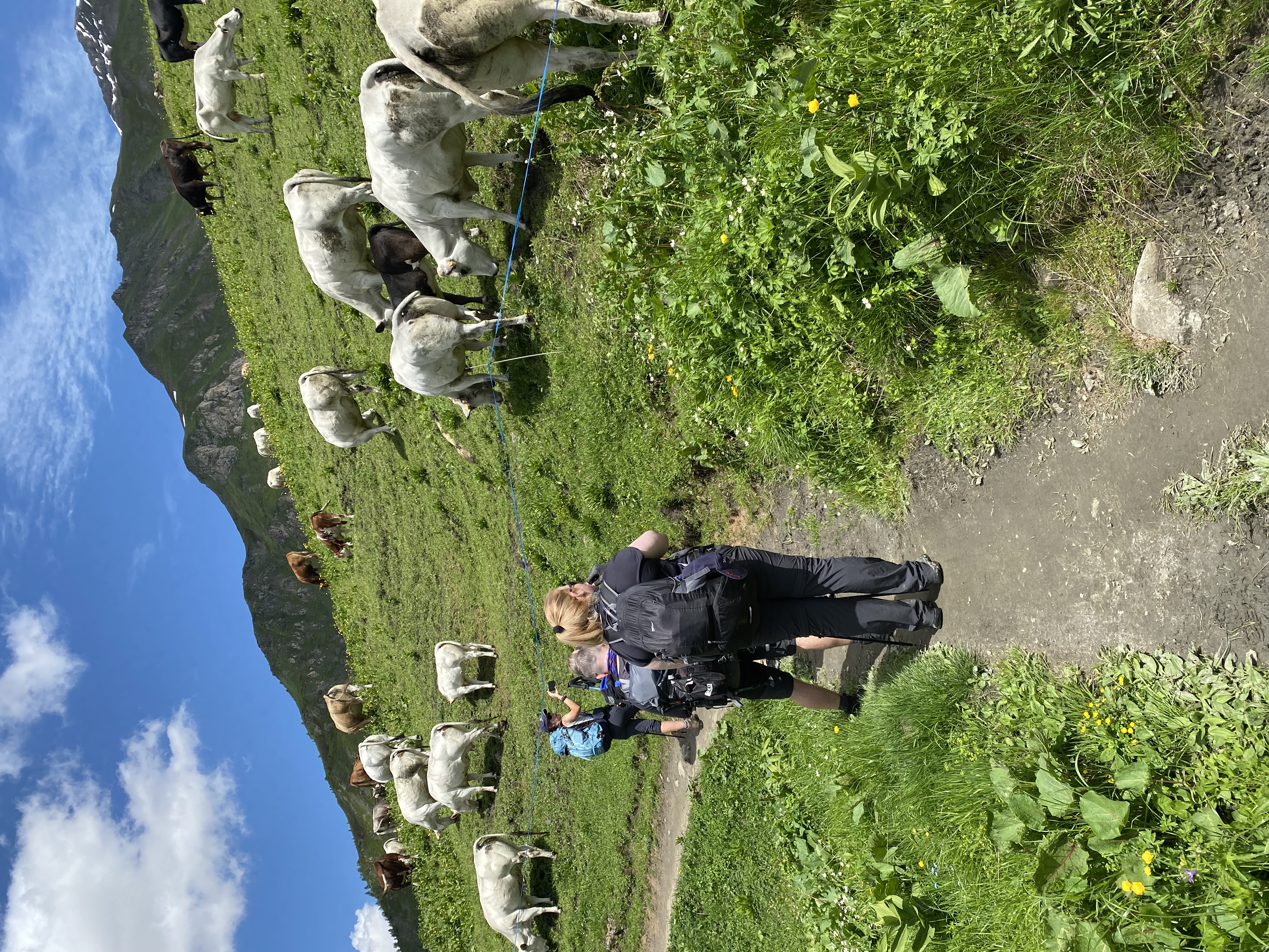 media_7AKGK94KWU6XC3UF