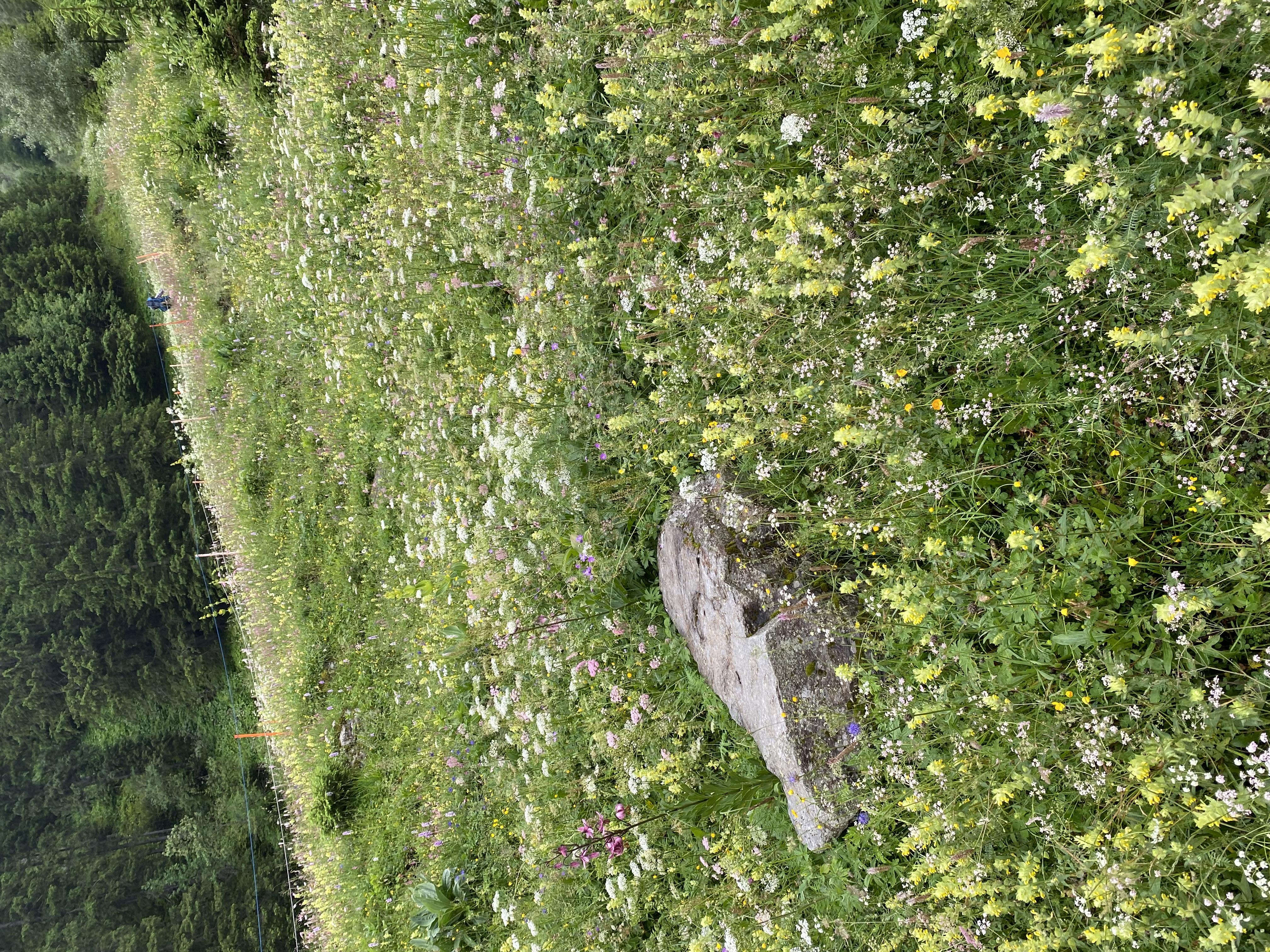 media_MPQURS6YTH3UFETB