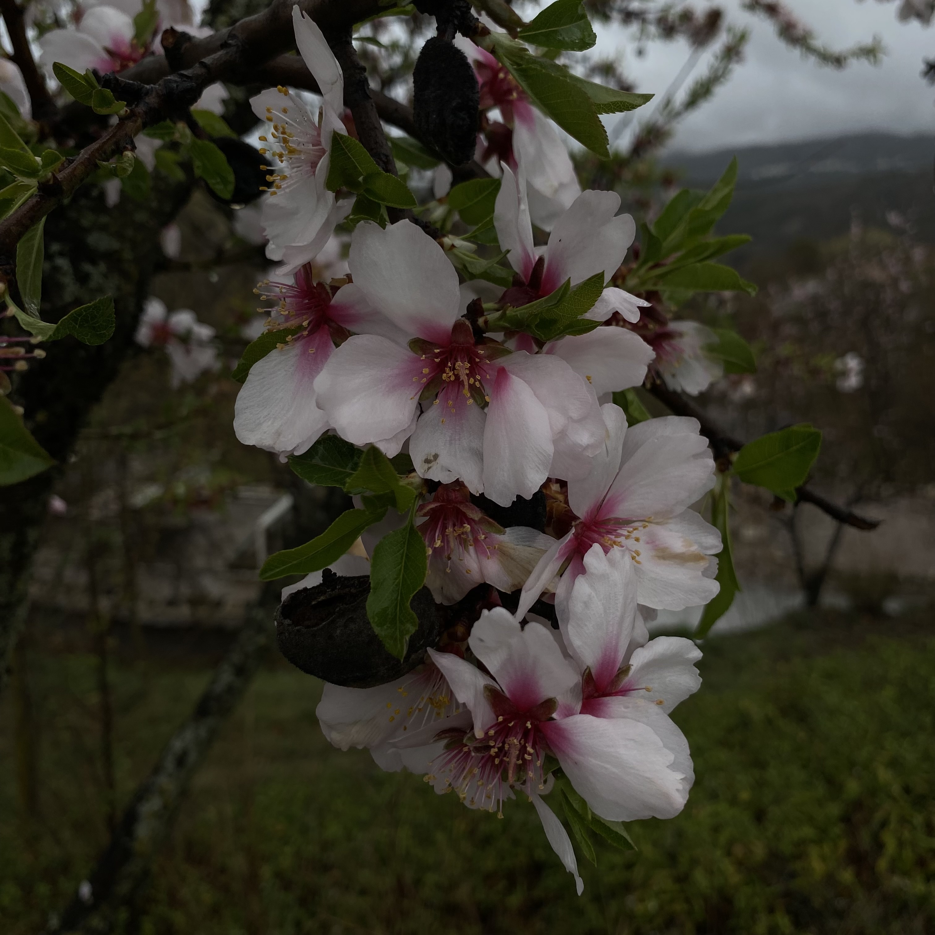 media_7XA2FH7LR5BP6ELT