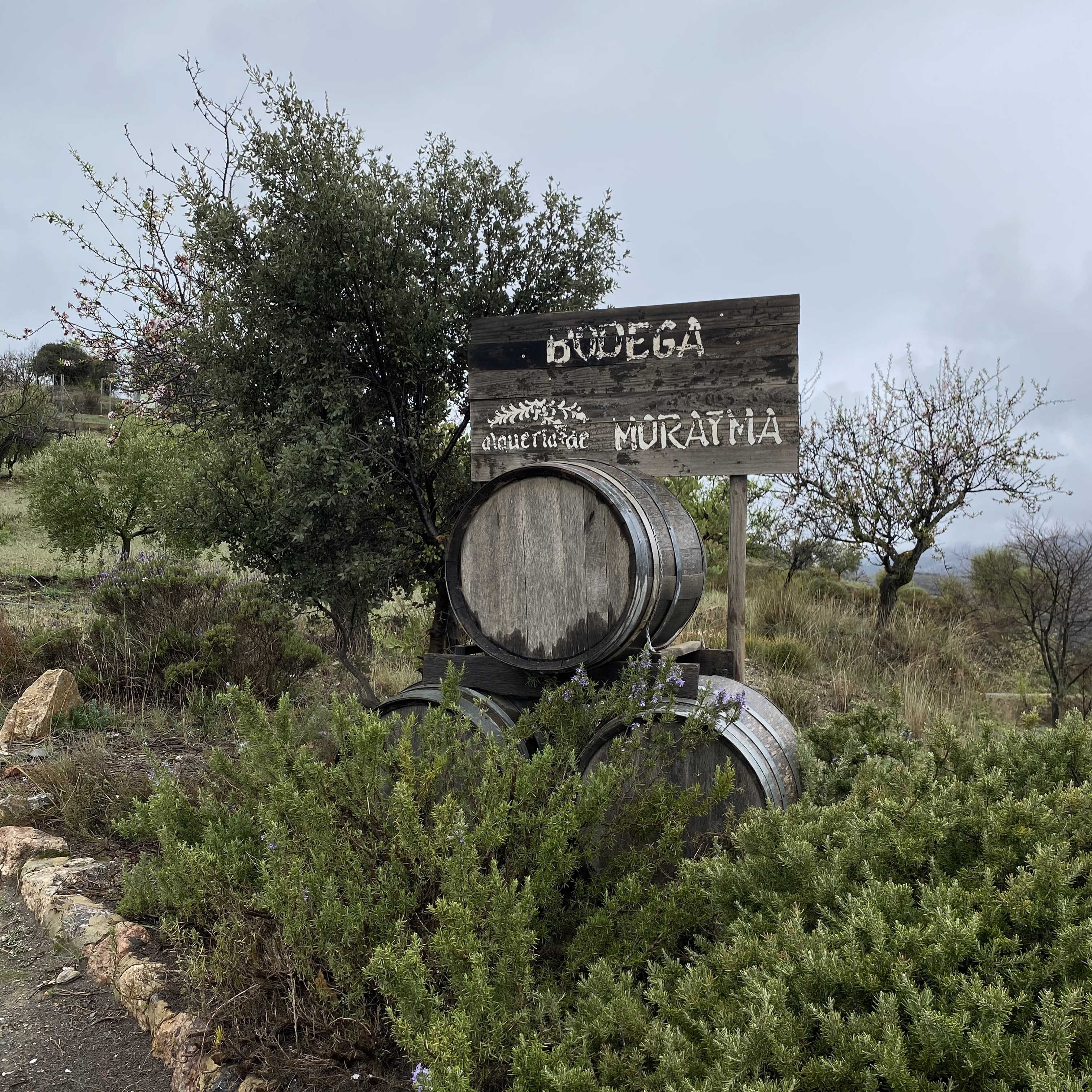 media_ENEGEAXU4GZAXKFG