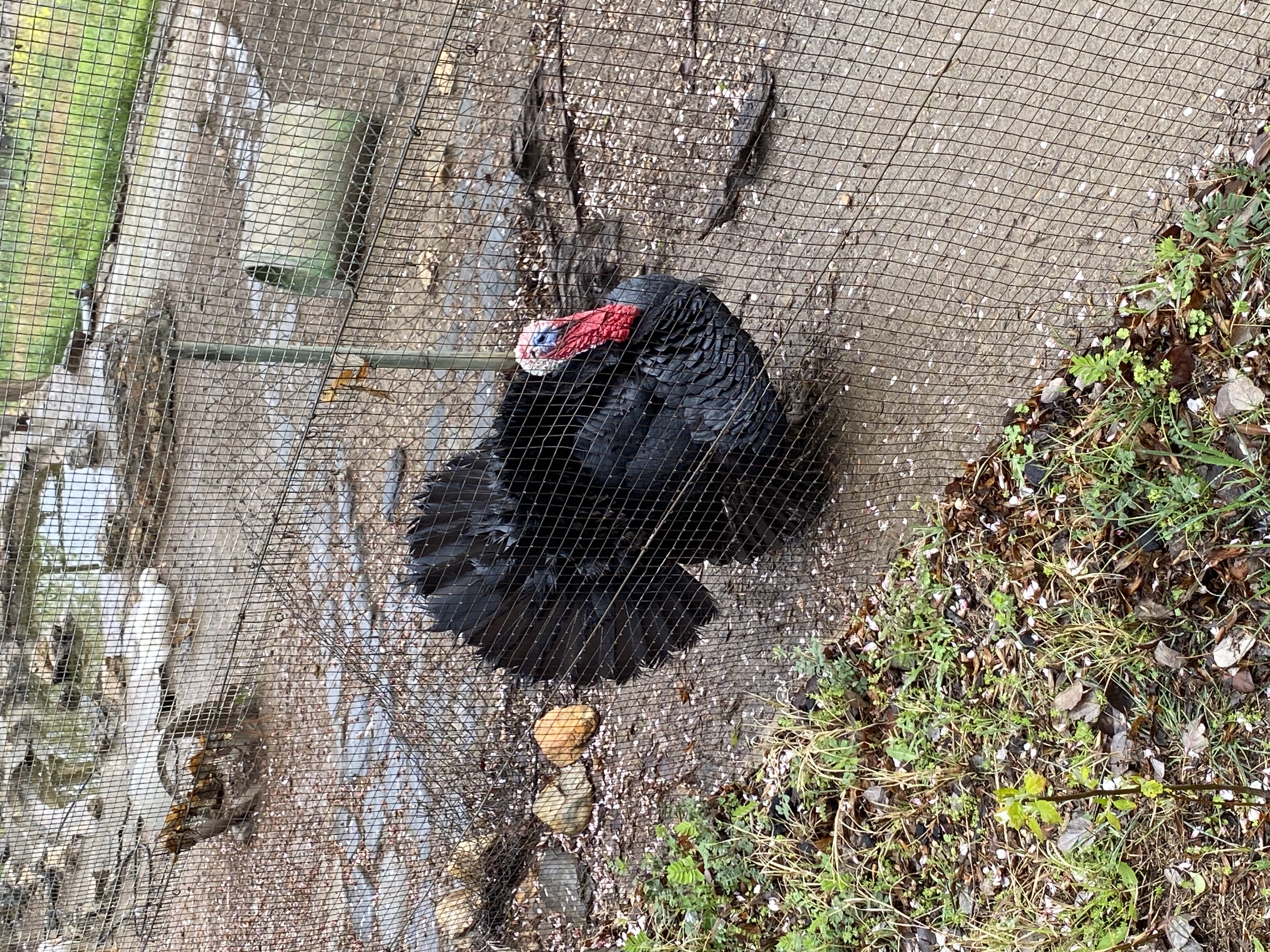 media_Q6LH8GWNCRD286AM