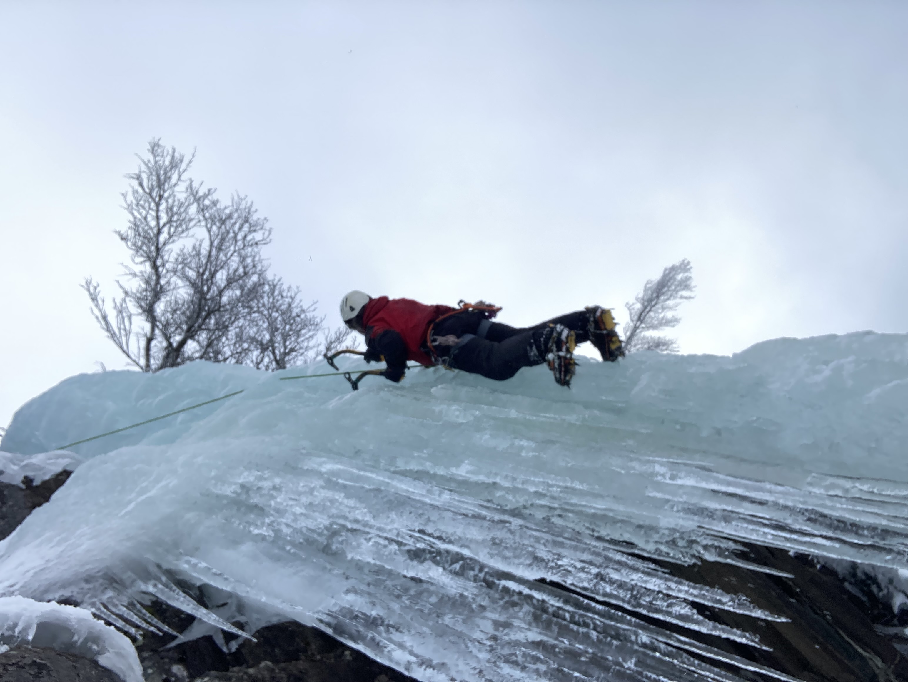 media_2W9KV3BFJYXS4URM