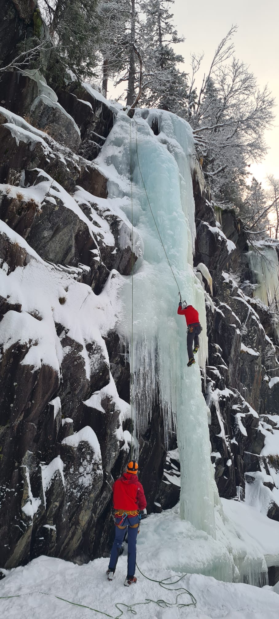 media_7RAQ2F2CGE2R9HLV