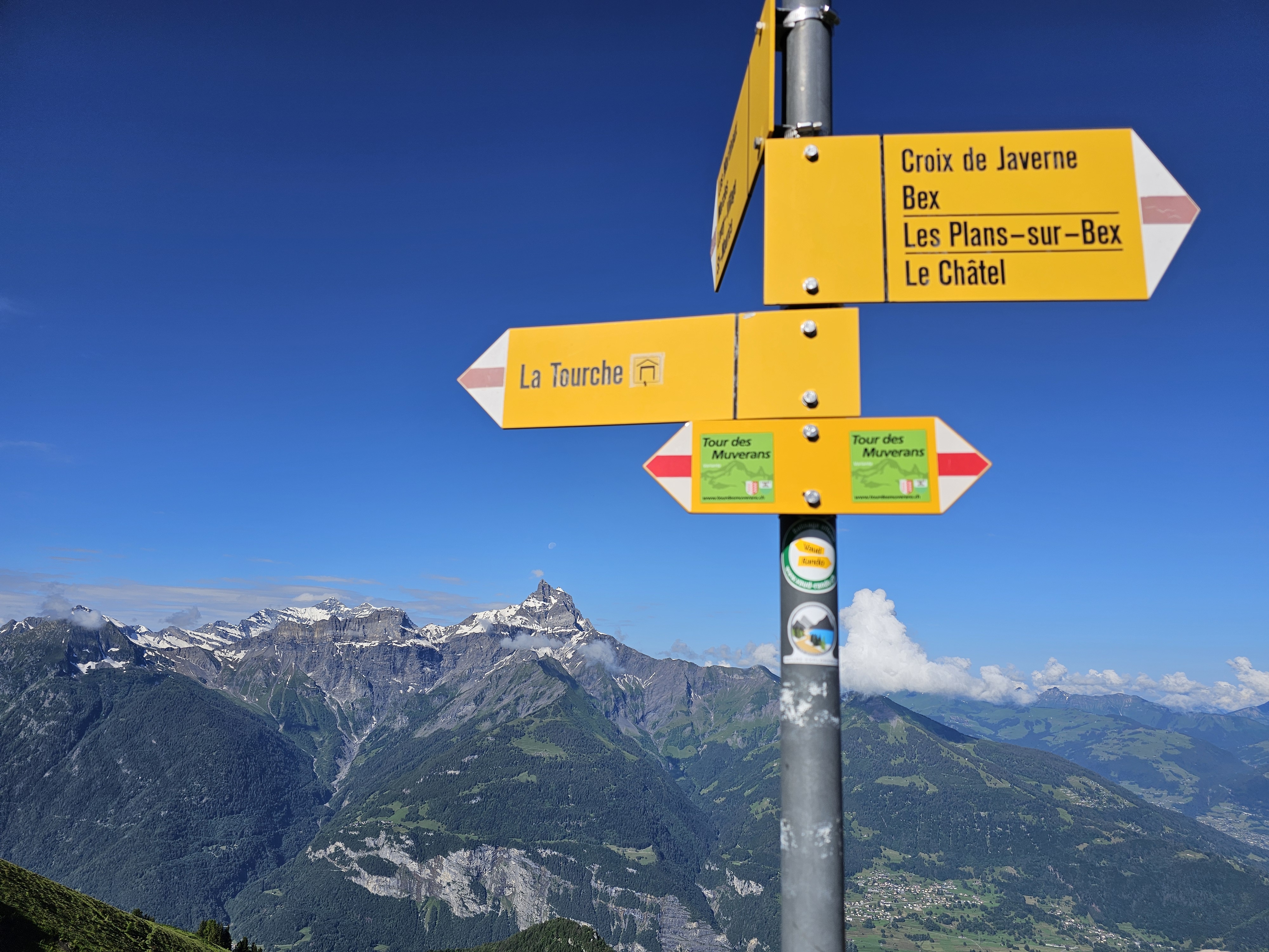 media_AMA8QXWTNZDSM5CV