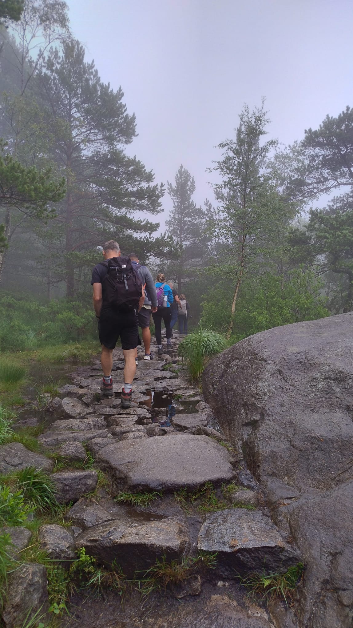 media_WH24SFP3AY9TC9E5