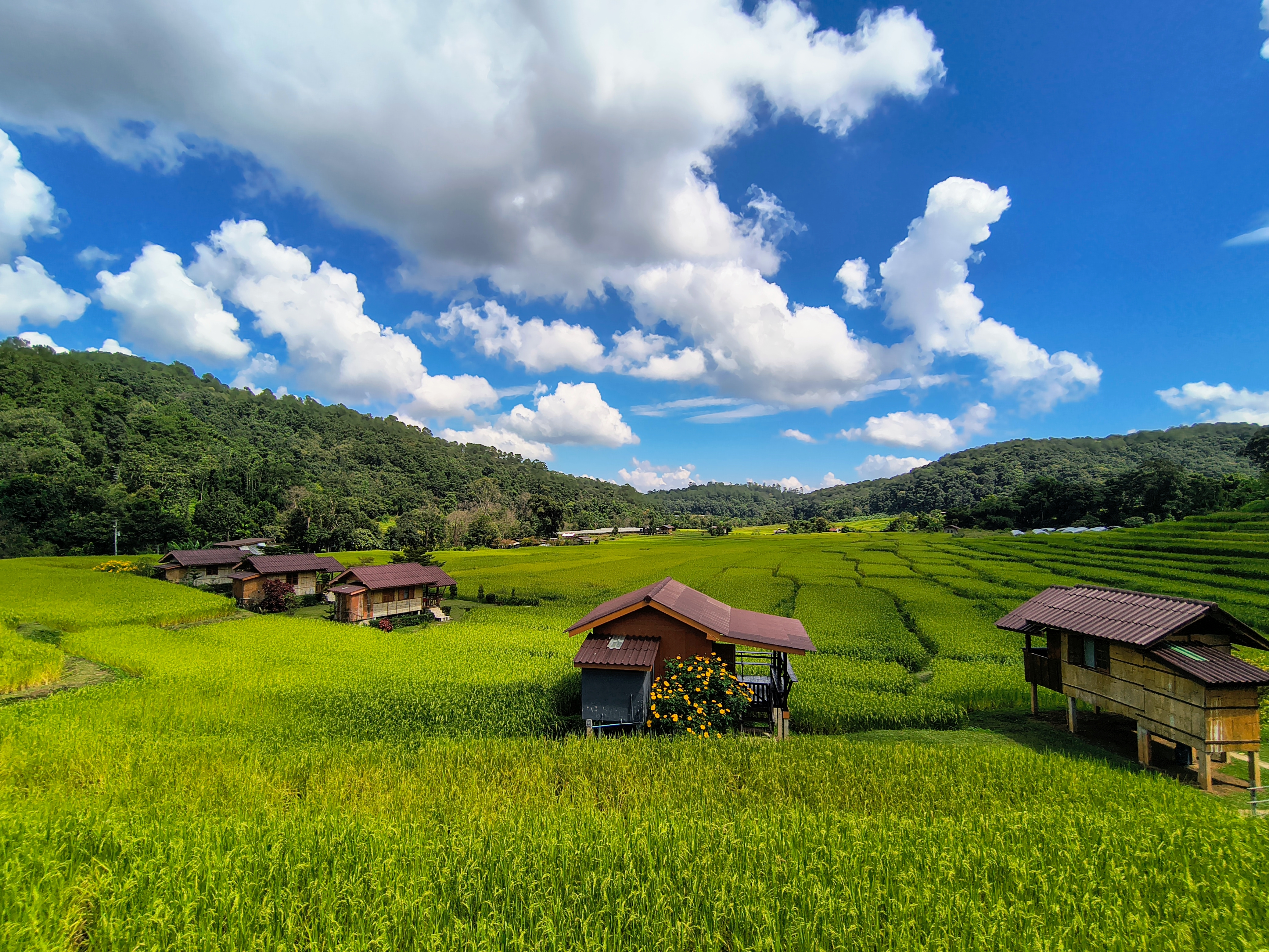 media_4ML4LSAM8HM6HUXD