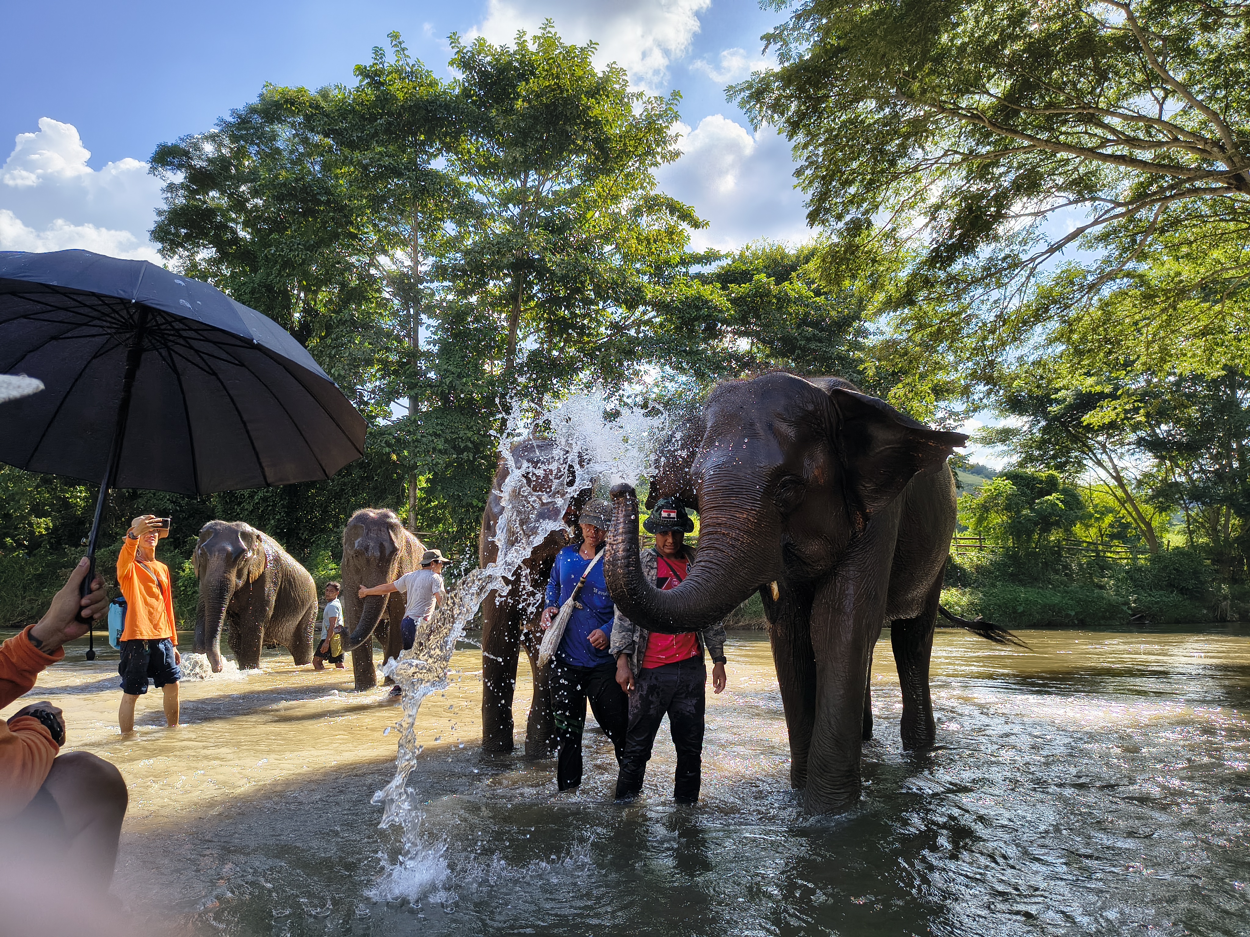 media_6HUAT28JN43H3SWF