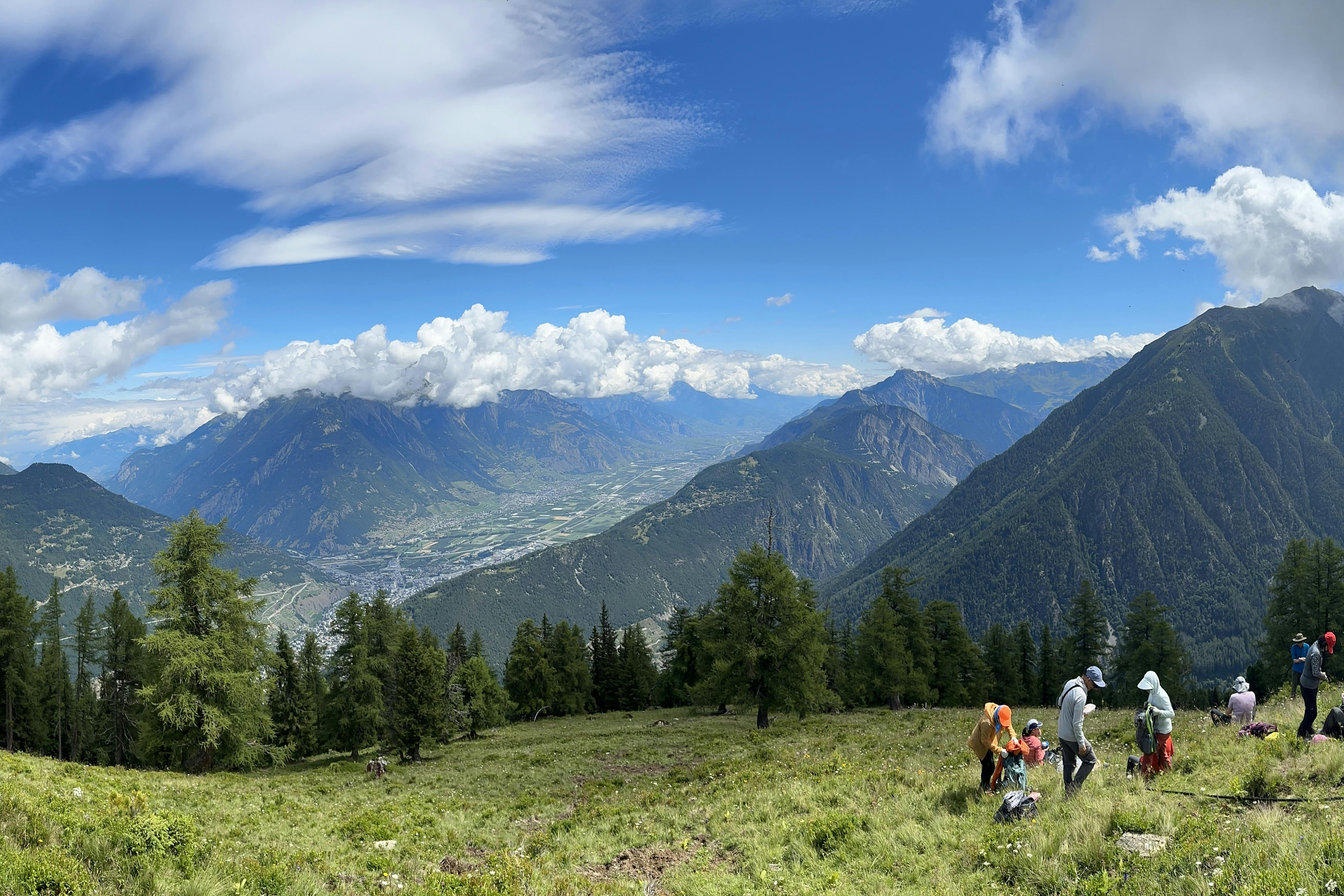 media_C67ZZUJ46GCWXELB