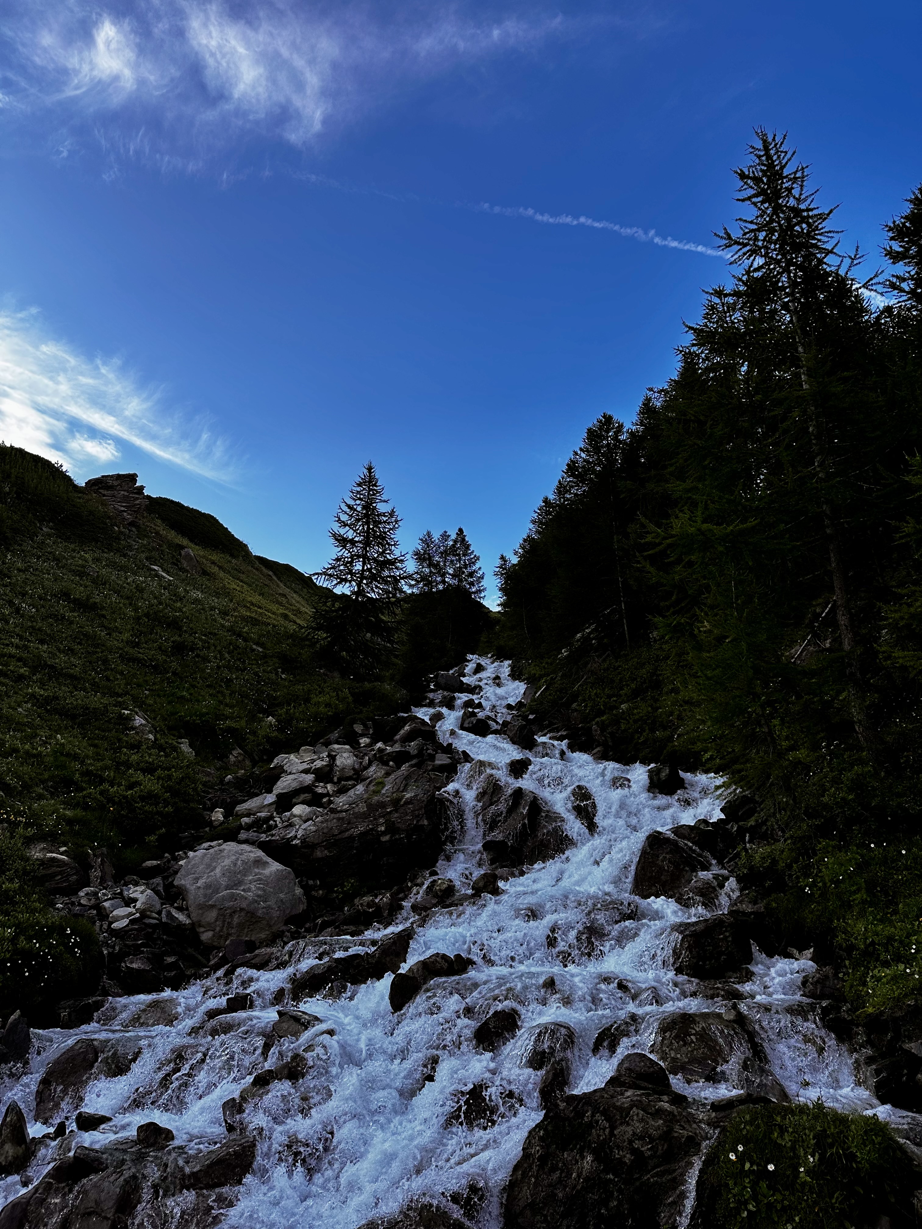 media_JGZY6VM7KPXWCEUU