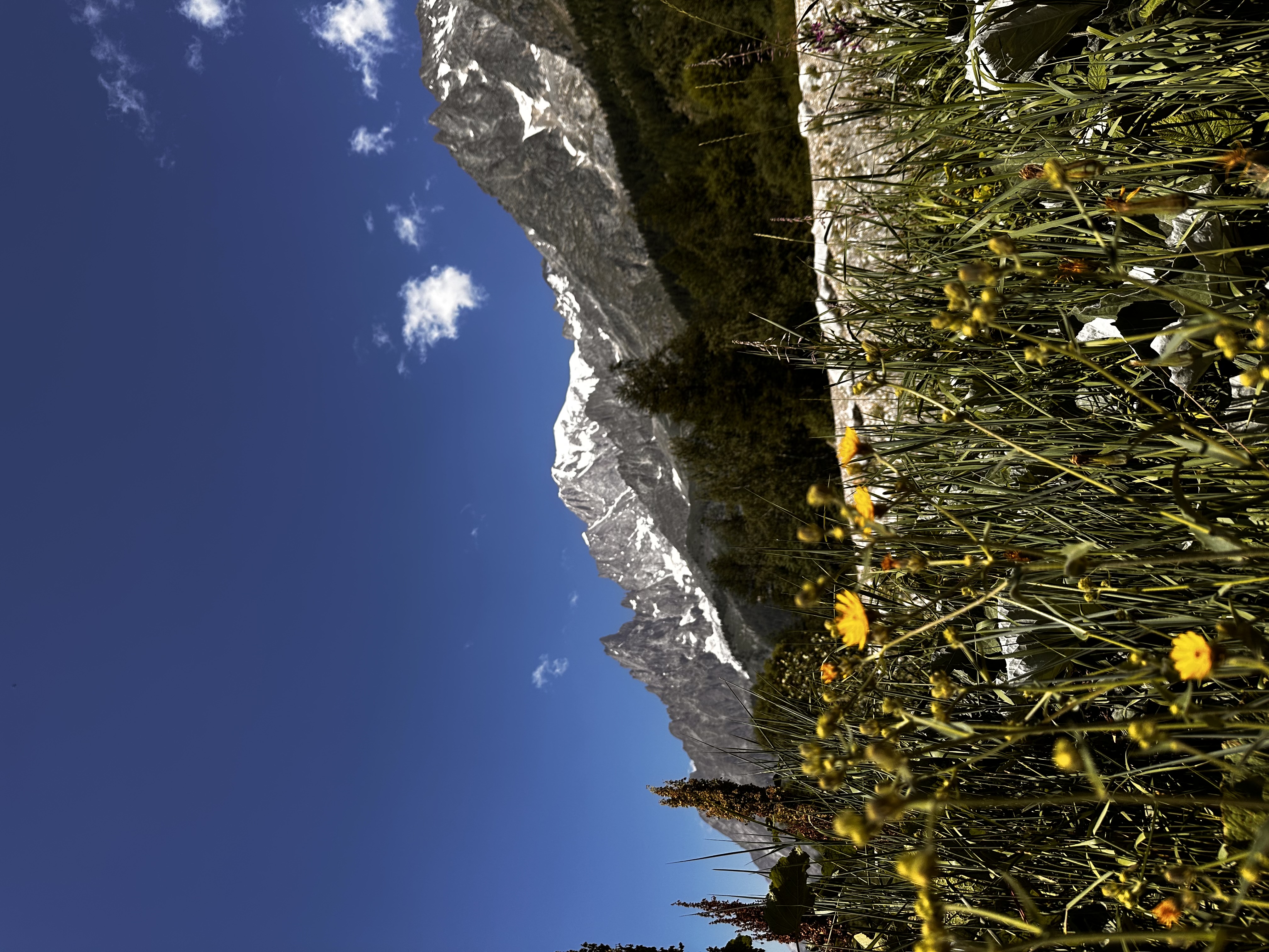 media_LM5BHBDKJMX26XWE