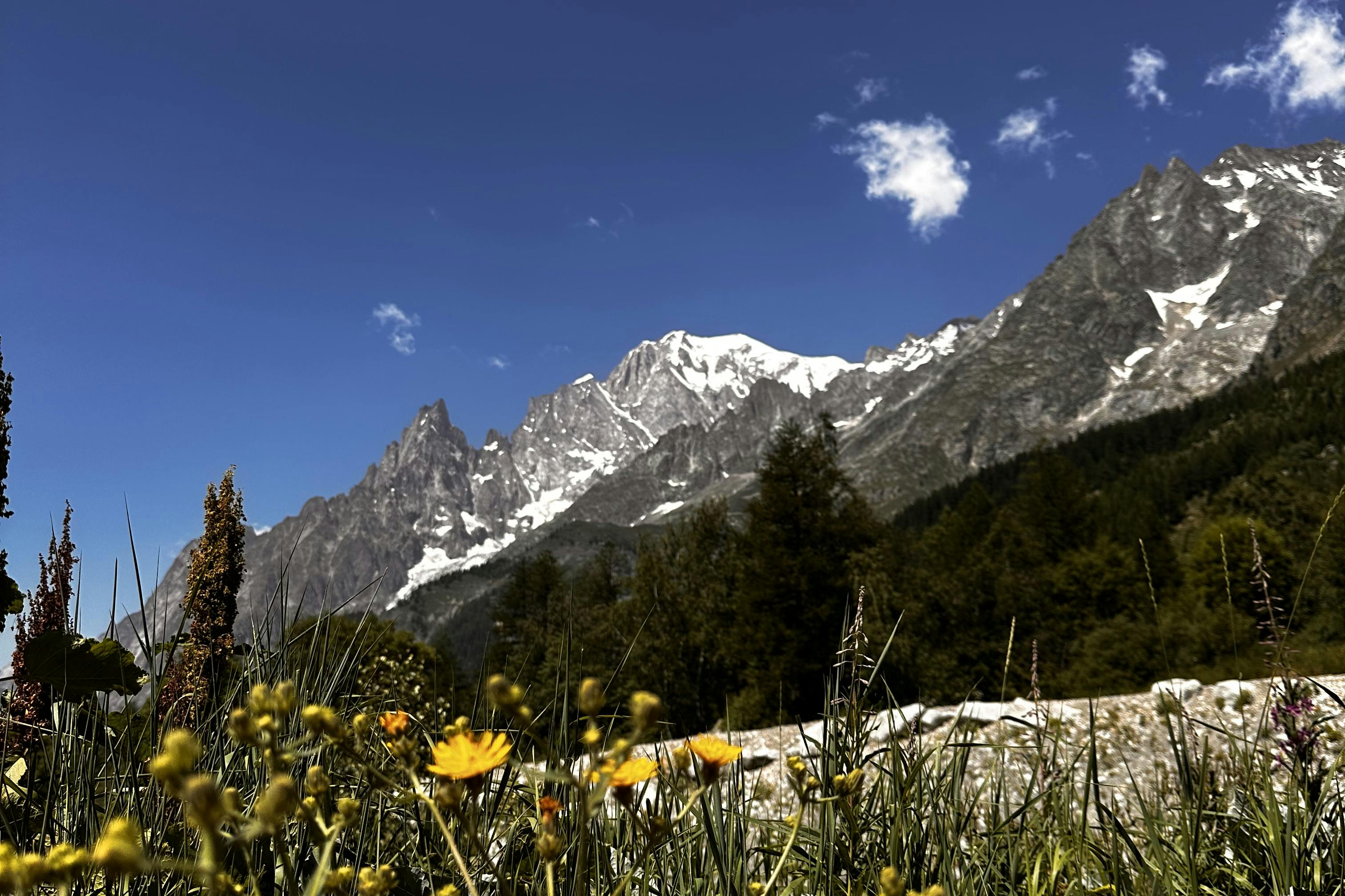 media_LM5BHBDKJMX26XWE