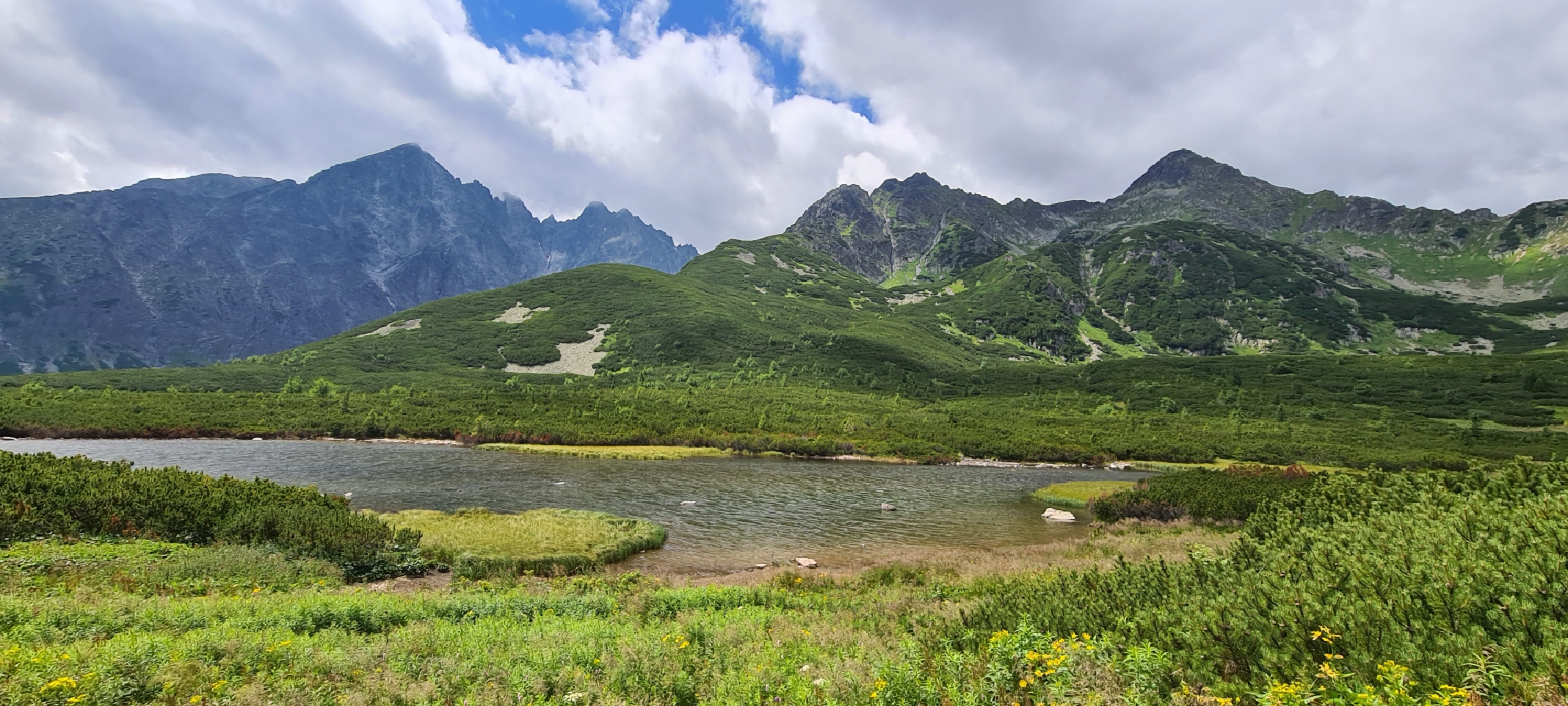 media_PGN68GDR5UJJG8JF