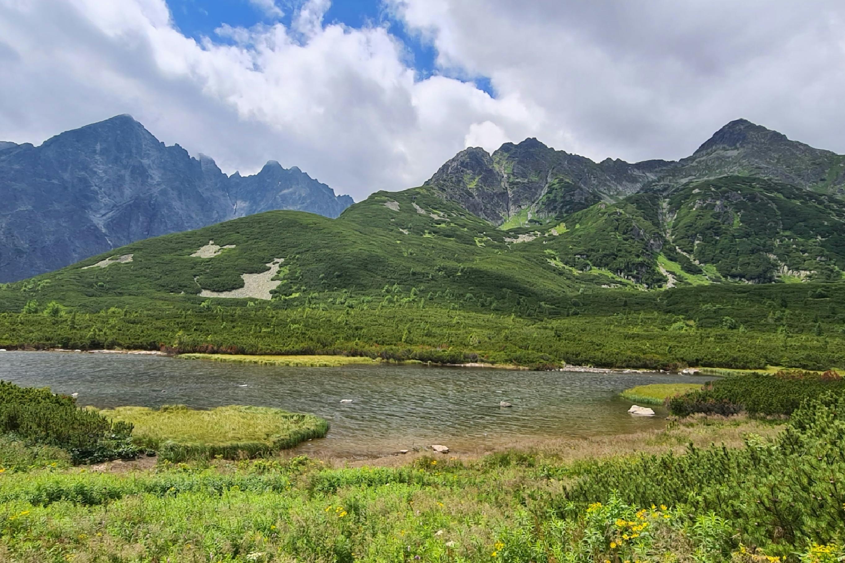 media_PGN68GDR5UJJG8JF