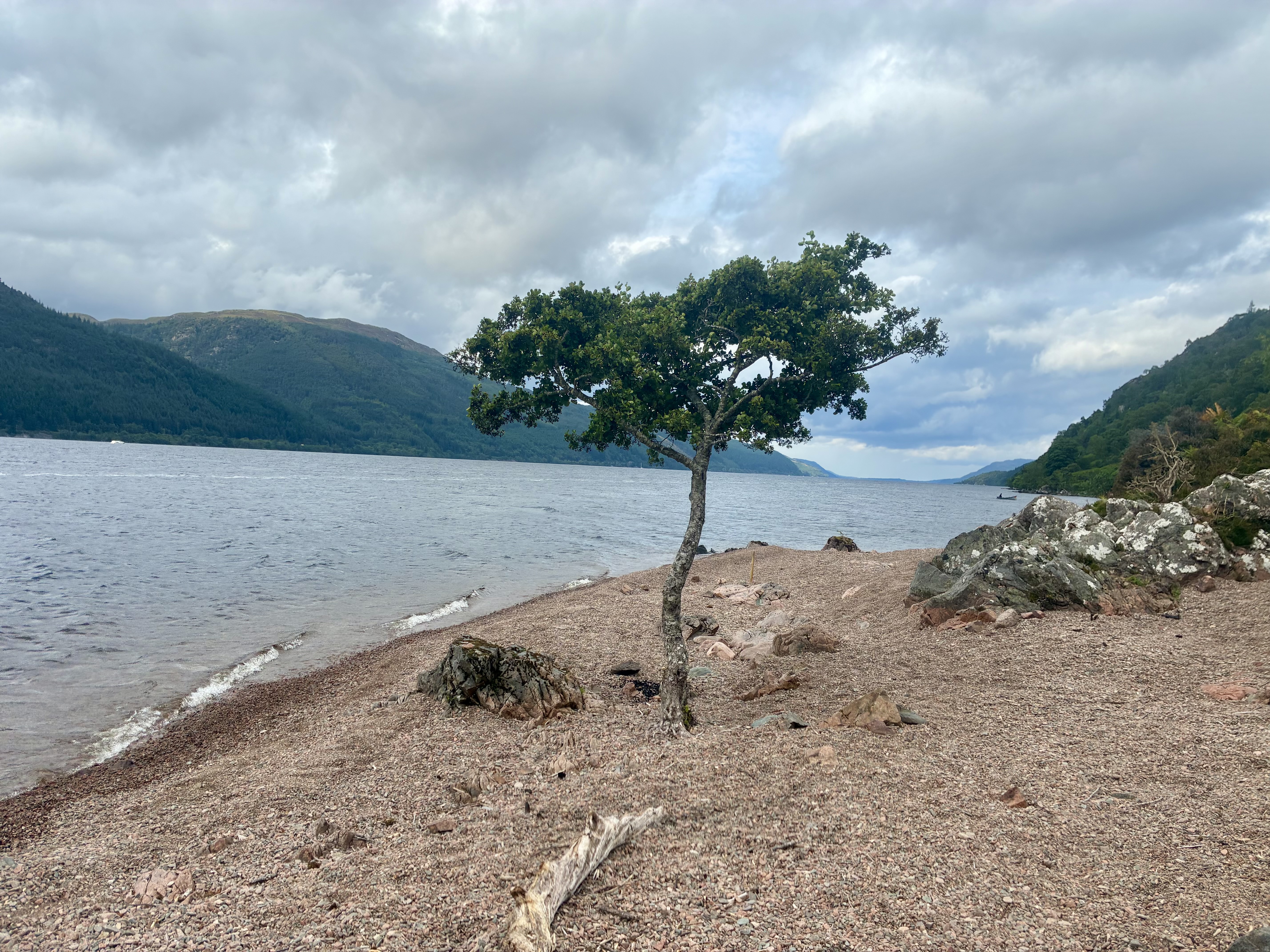 media_9G9XEBK2YYJVZV42