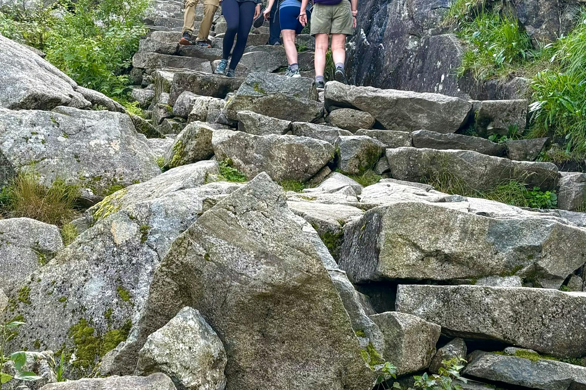 media_MYGNZLGHE7X4XGXP