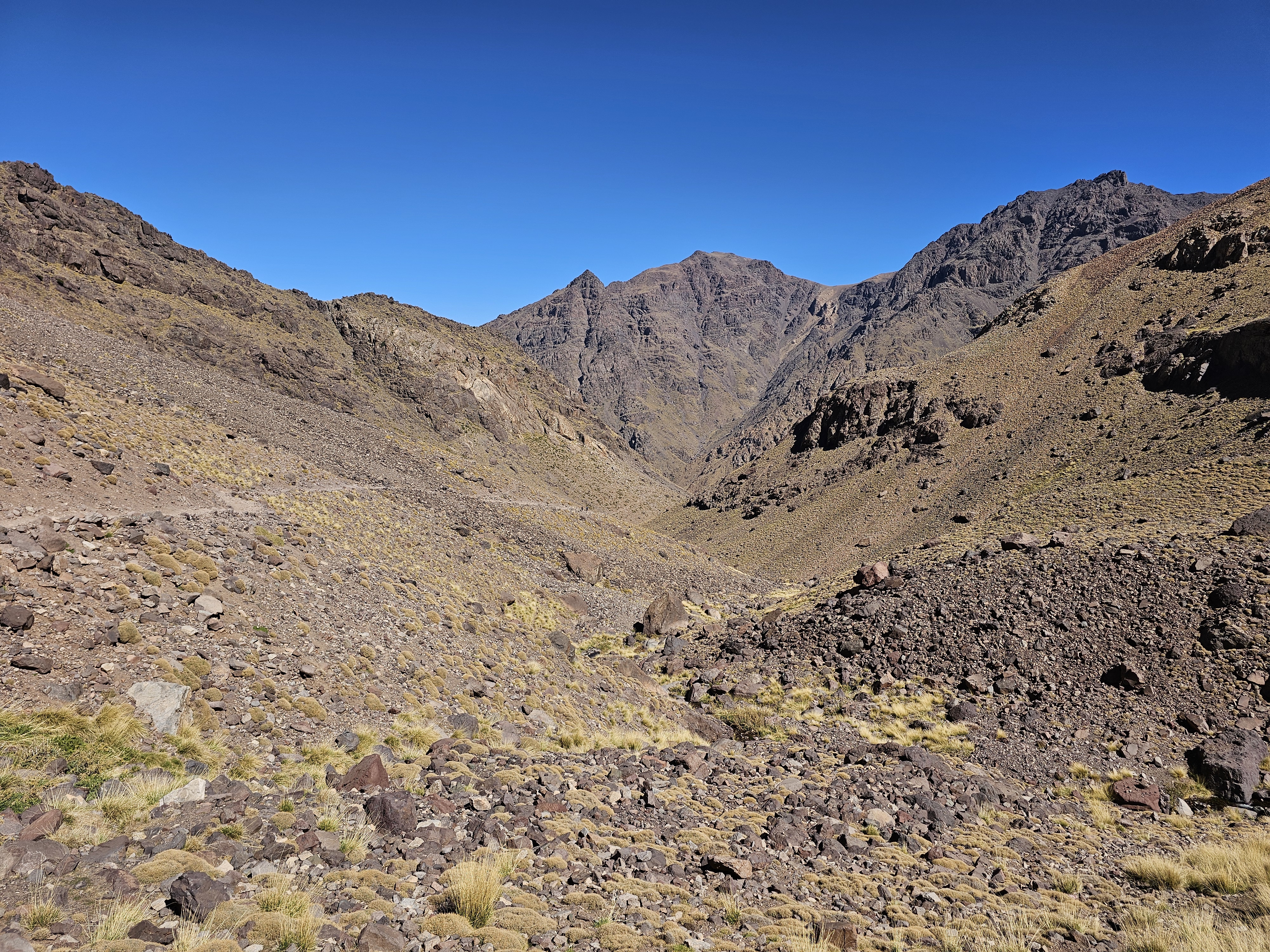 media_YA7AJMYTXN55SK9B