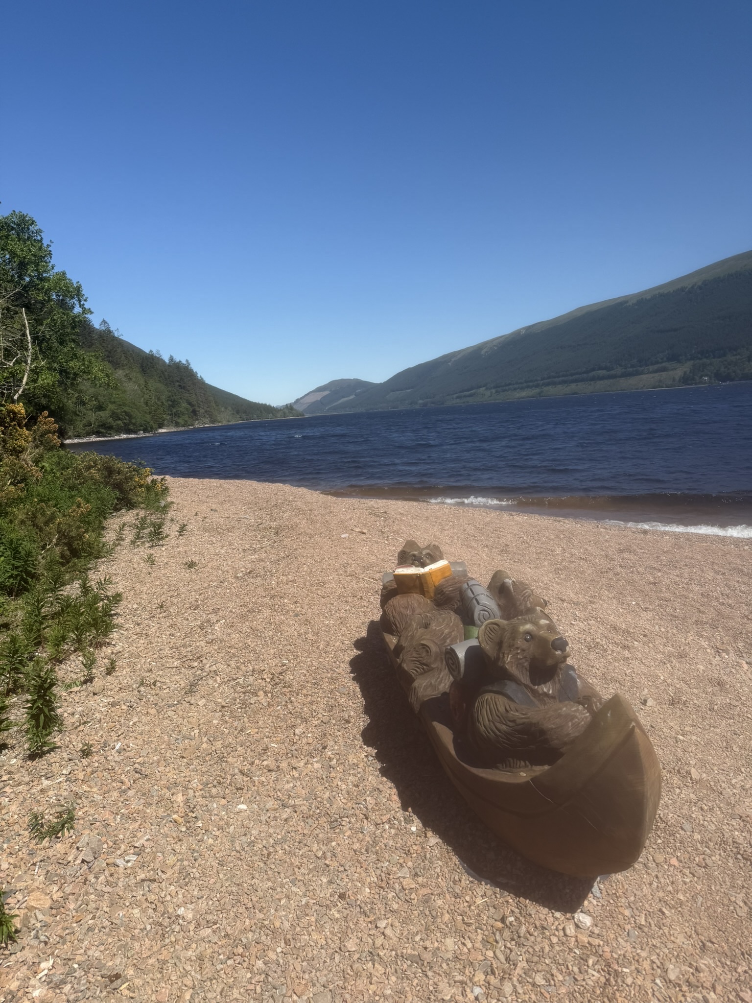 media_B4MWT29EZQXJN85M