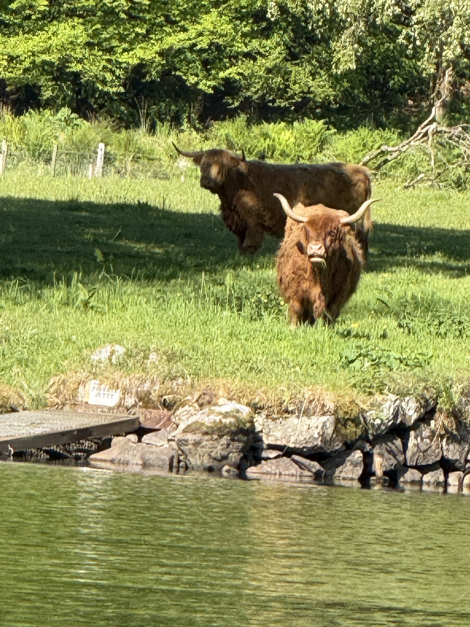 media_F94523RVUZ98SX4C