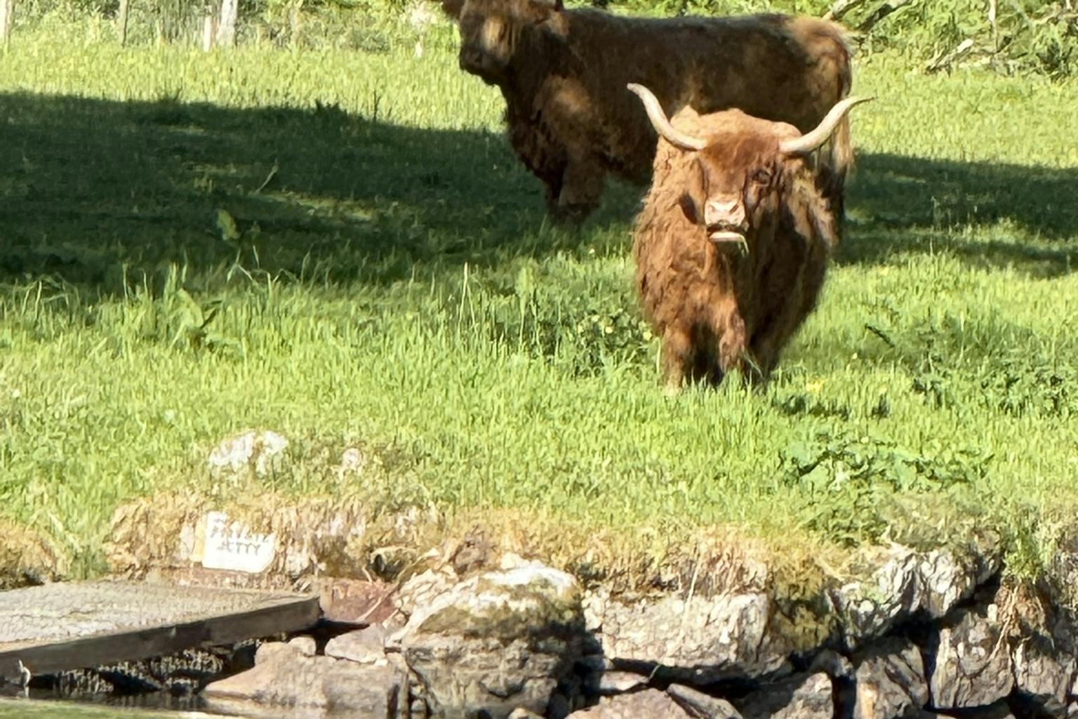 media_F94523RVUZ98SX4C