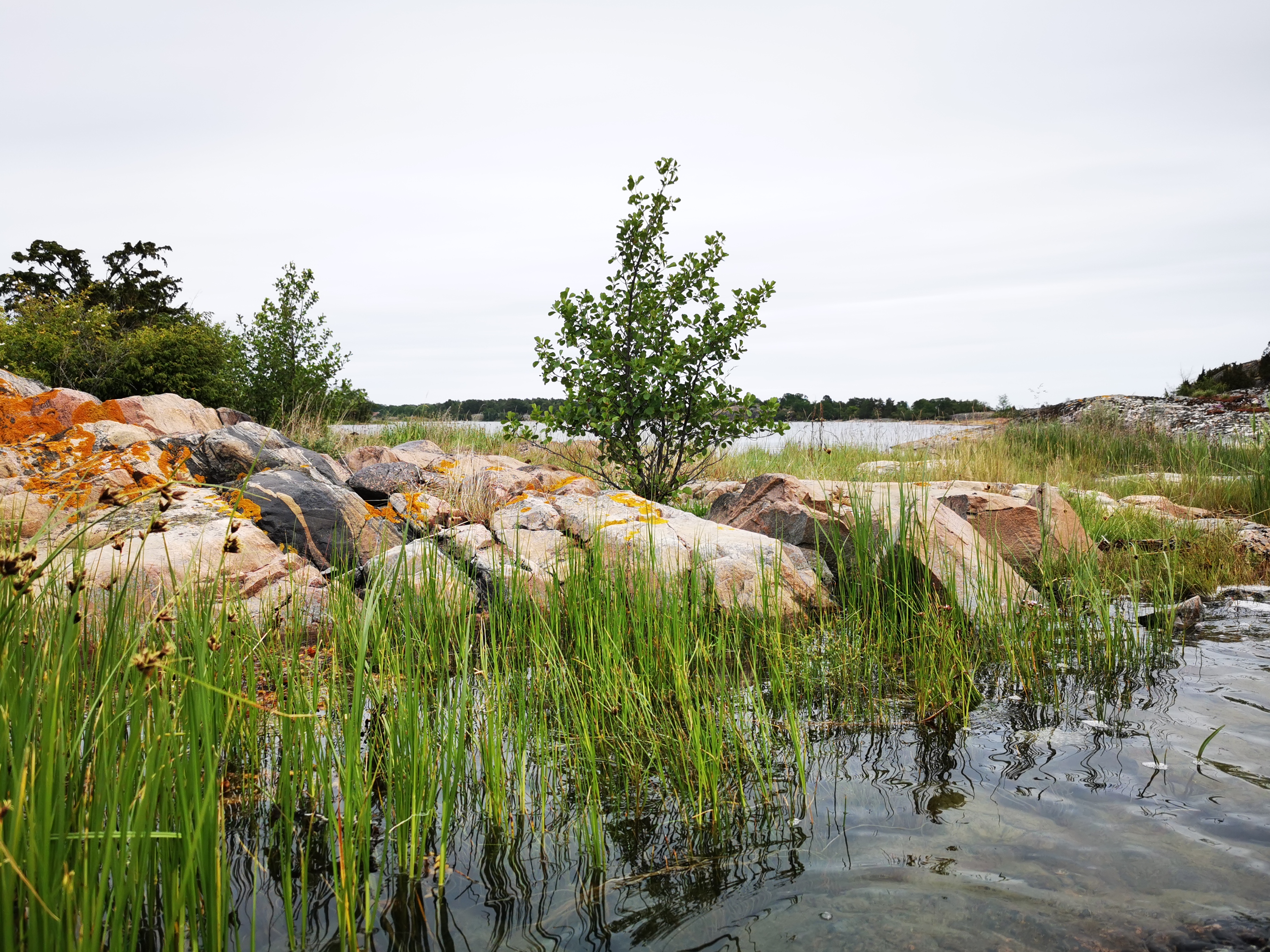 media_9WGB3YDP72KB8P79