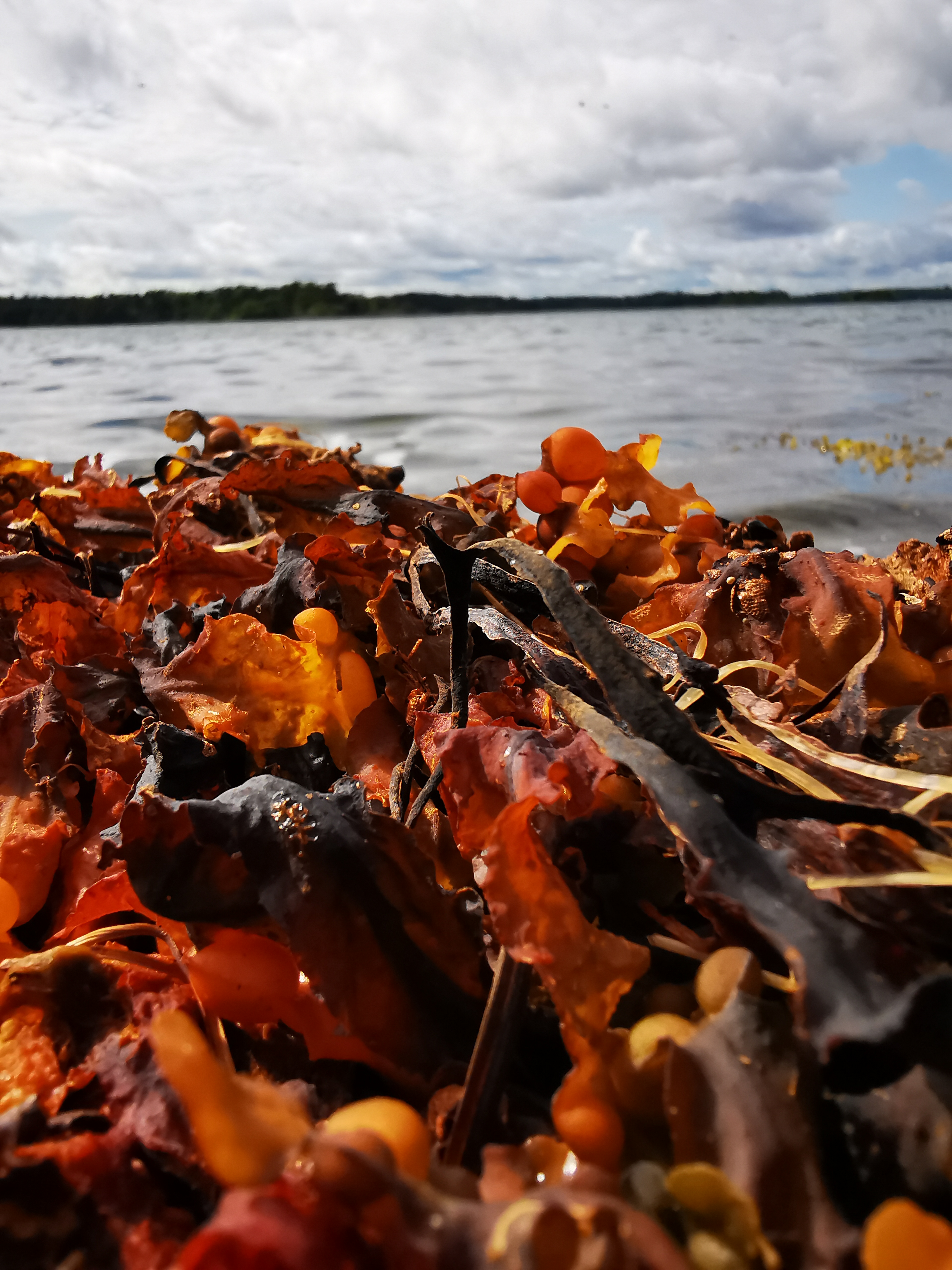 media_KP5YX5G4AFDR36H5