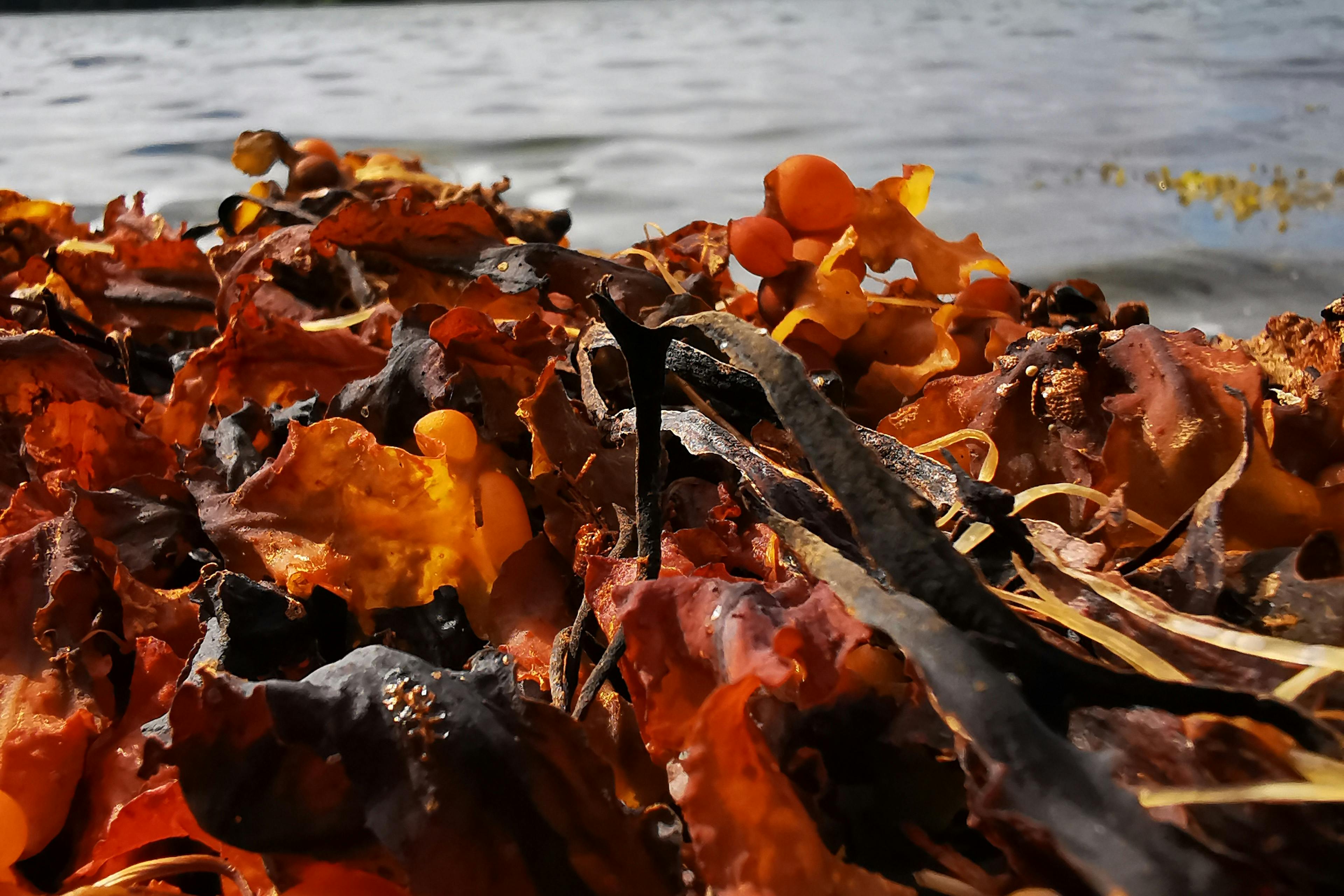 media_KP5YX5G4AFDR36H5