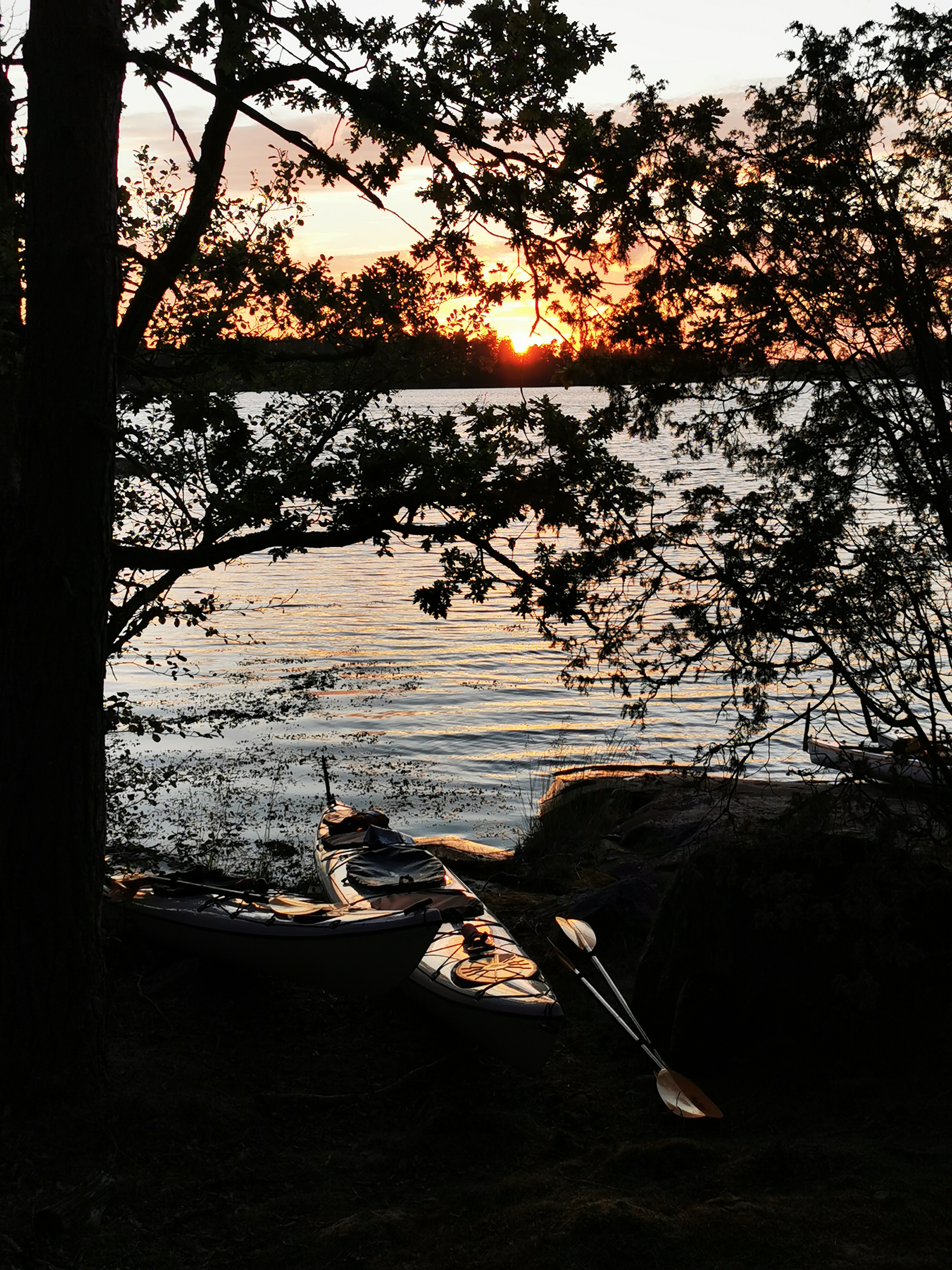 media_WU6NG2EUY398U65Q