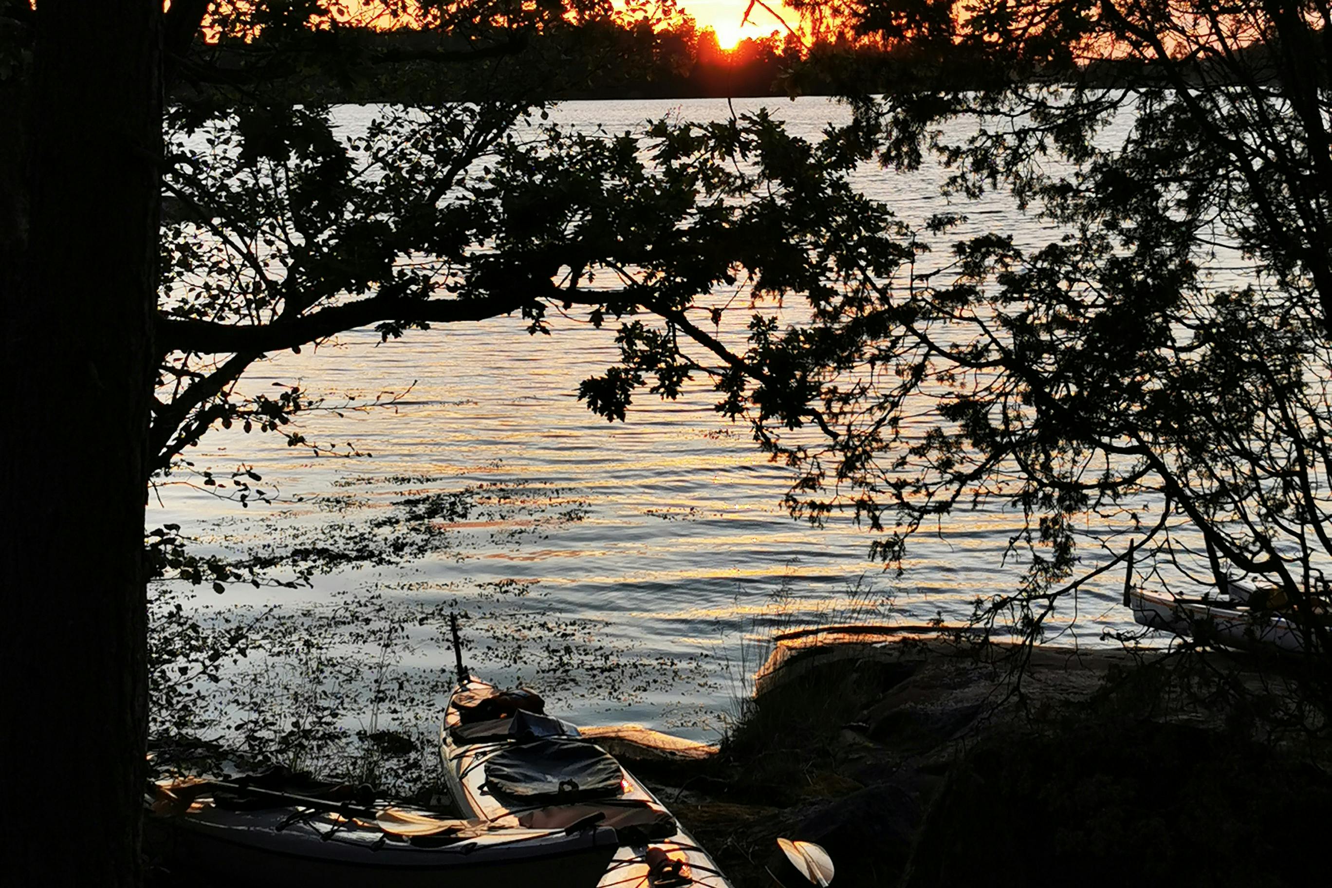 media_WU6NG2EUY398U65Q