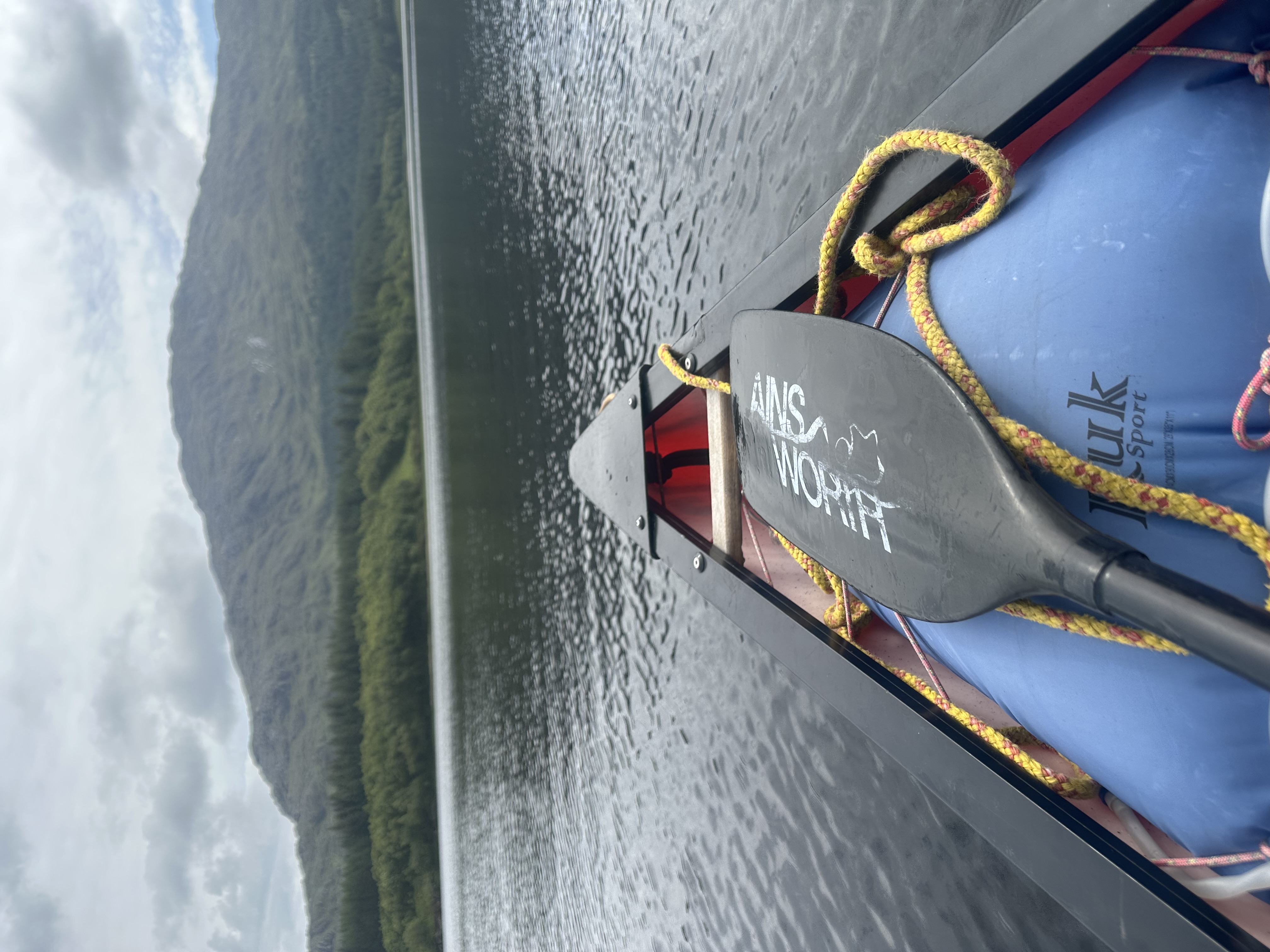 media_G92XFMMAAYZ8Z4T5