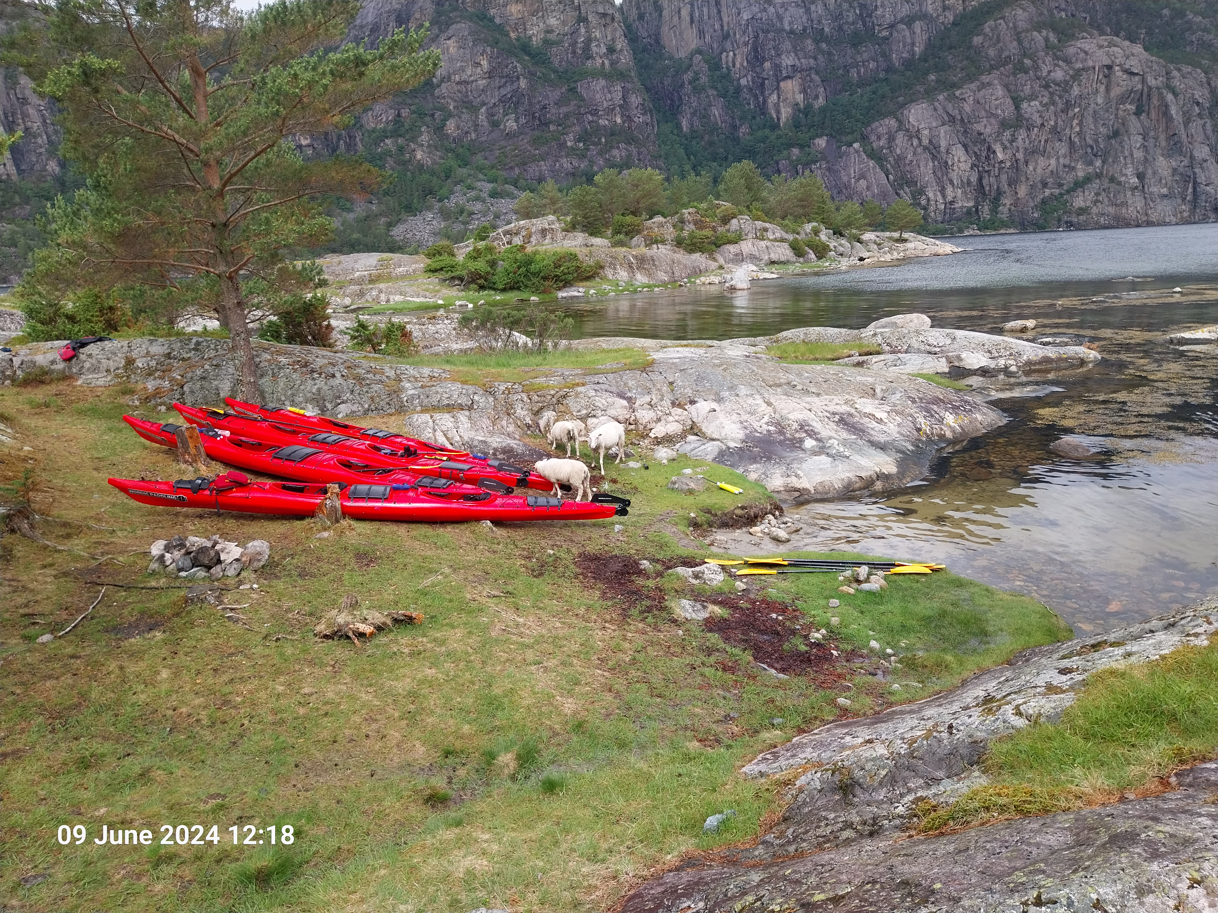 media_5YNPYNRZK6S7RB5Y