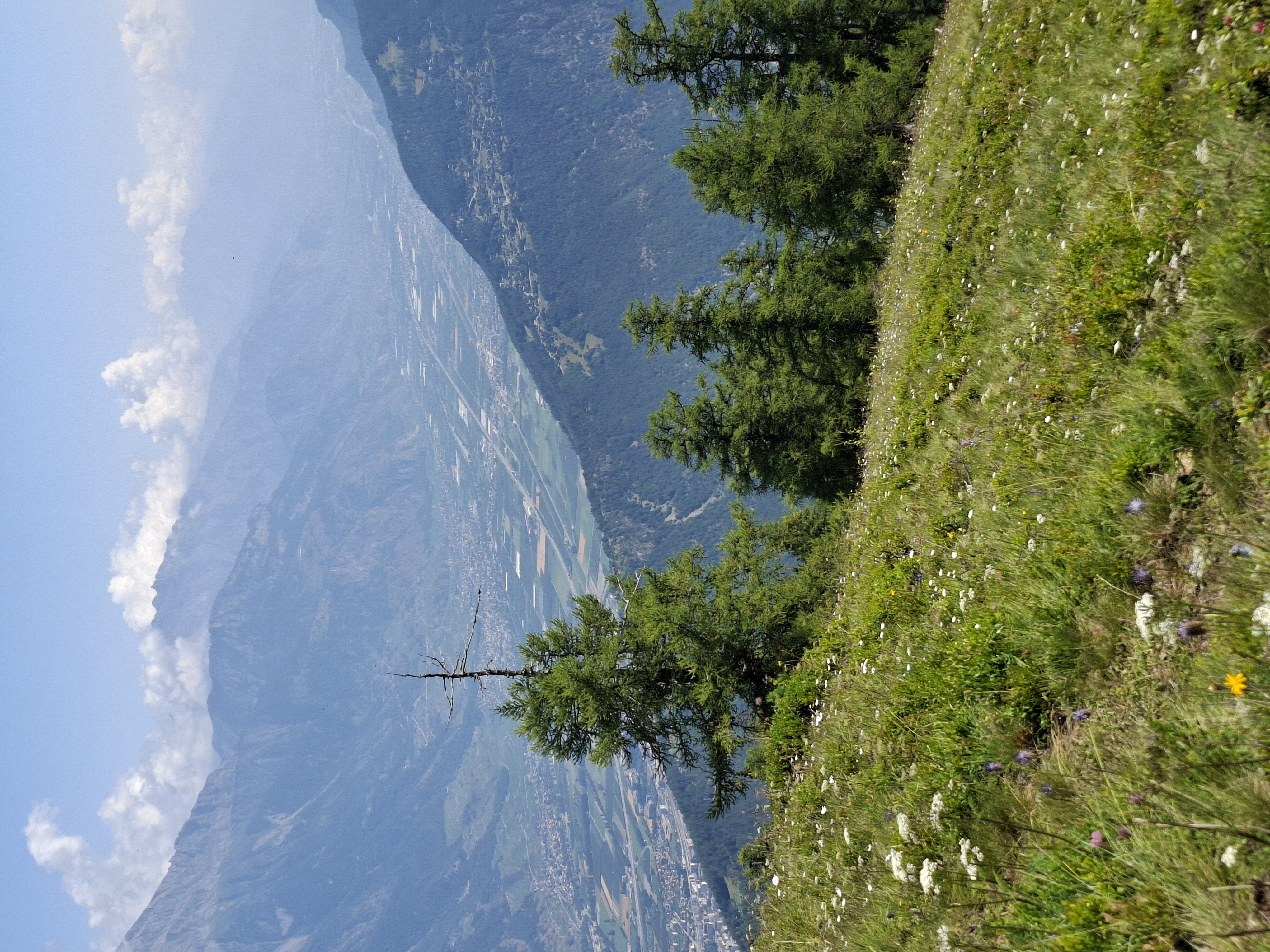 media_CKPLNHUSVEQMWBAS