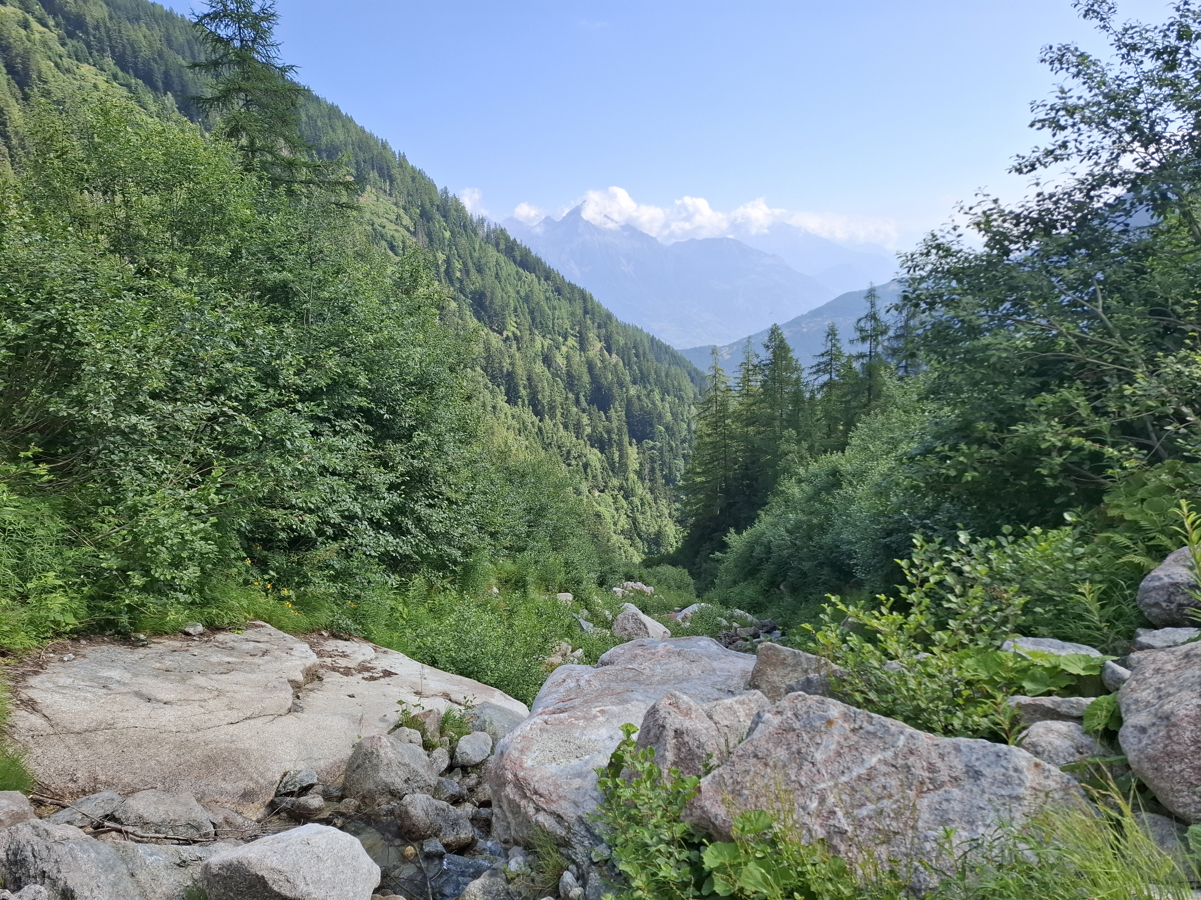 media_QSFAHJB9LSXRNL9G