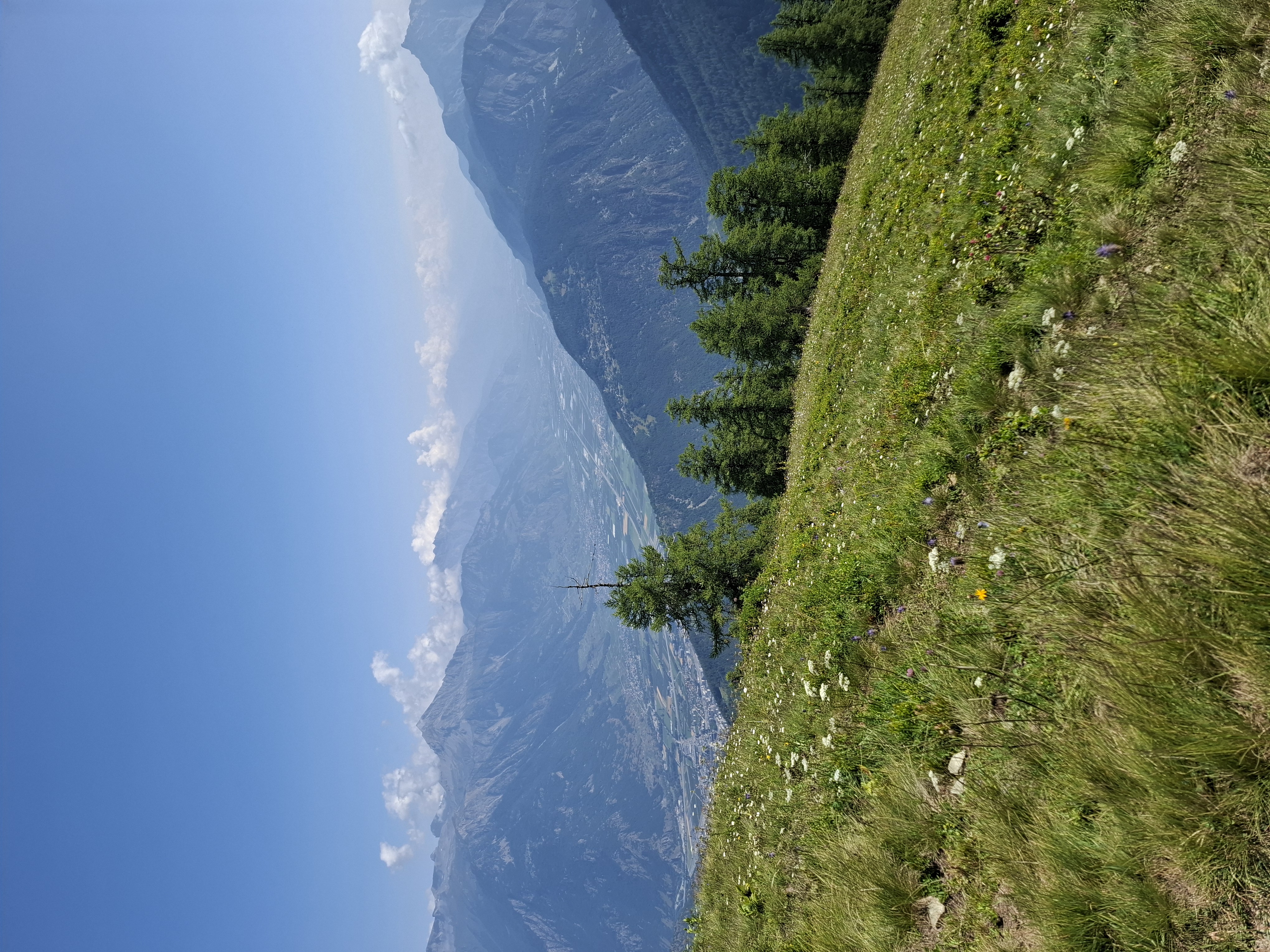 media_R9VR4R388AACB4JA