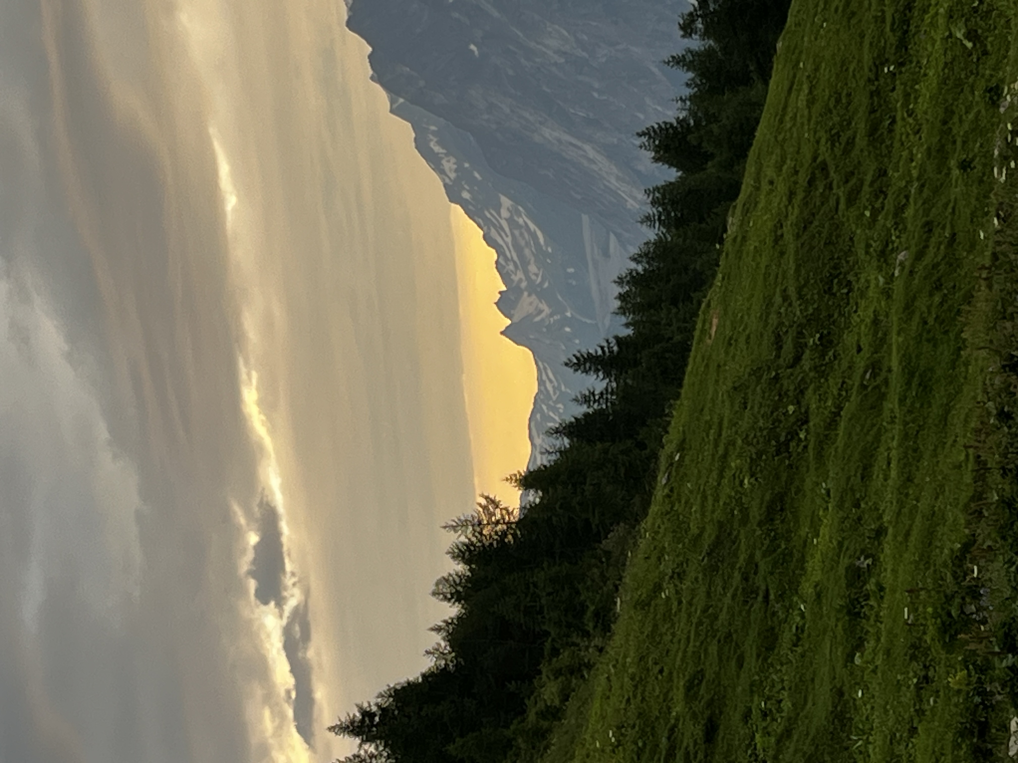 media_4A94XYKDY6NYKVFR