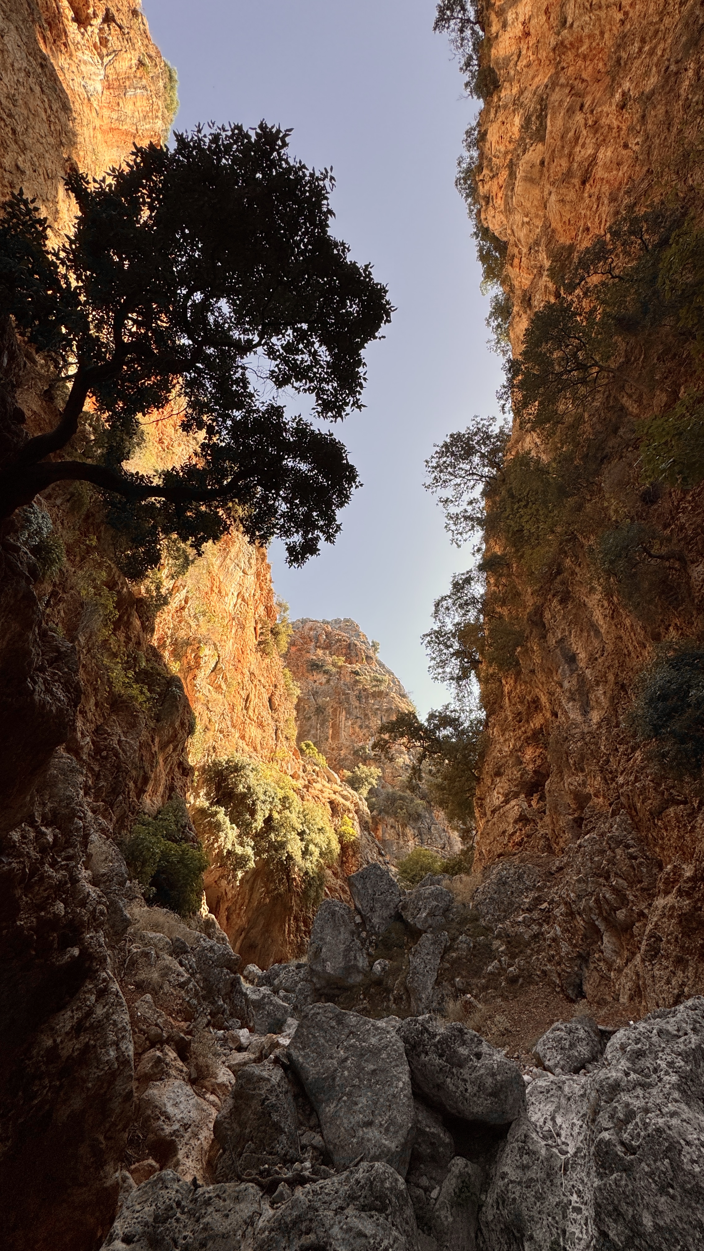 media_Q2Z6LC5B64G2KBYN