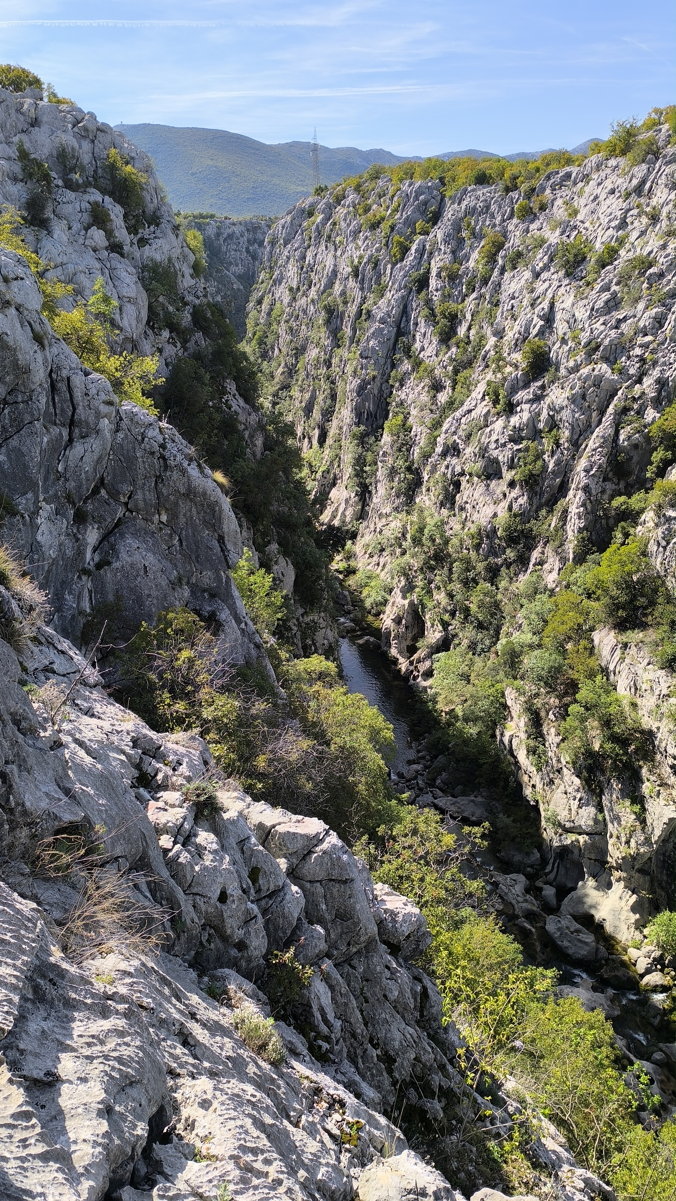 media_EKK9NZUTXGMYGXJV