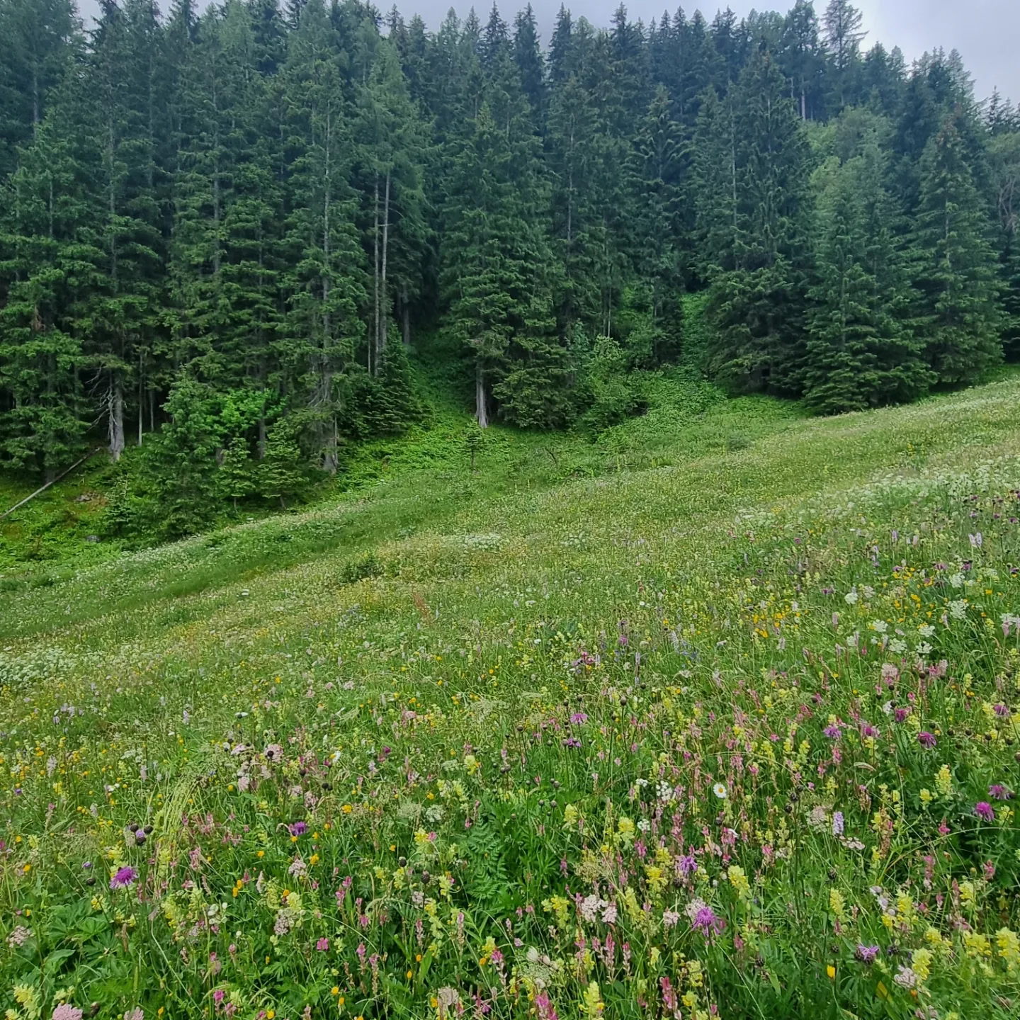 media_M56BH9J2SX63KZBB