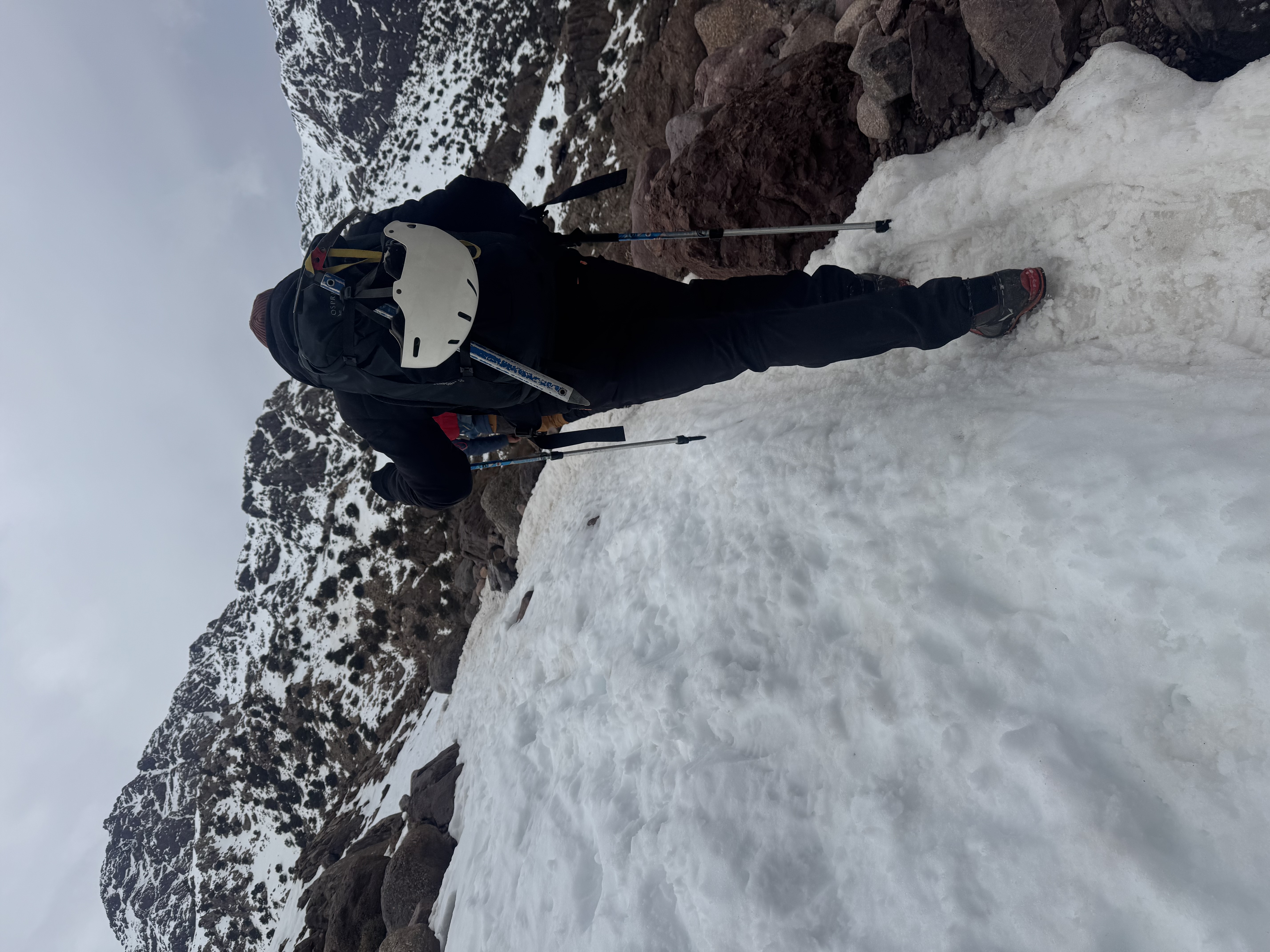 media_QV7VF3VZACXVVG4P