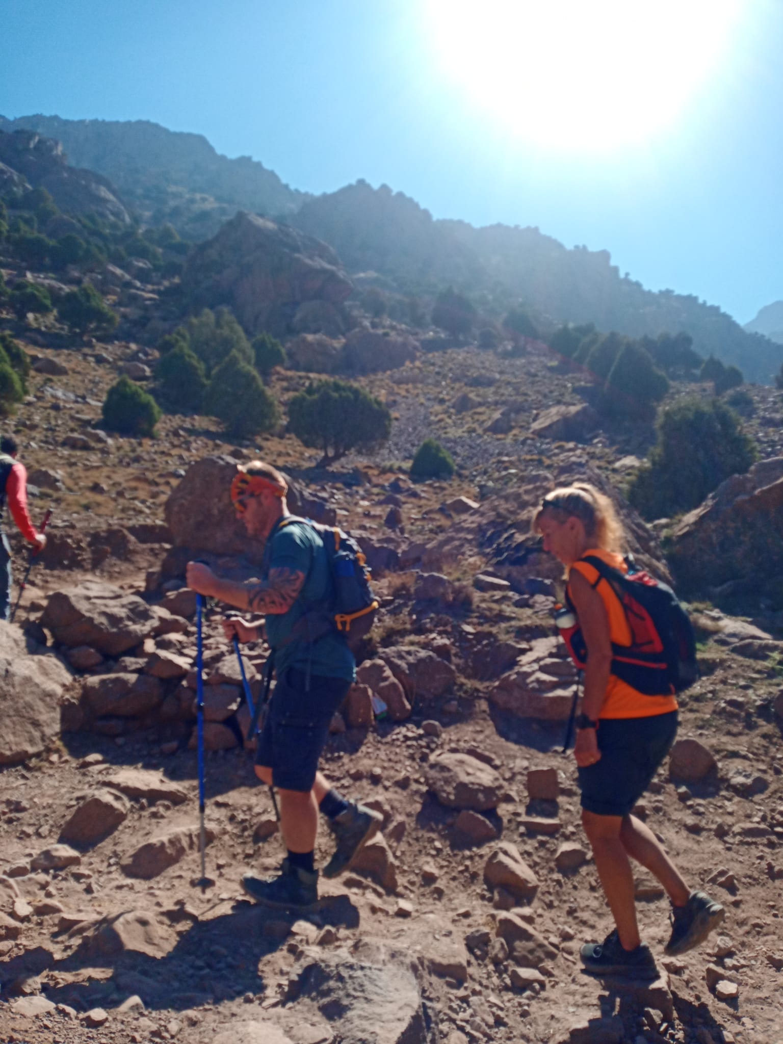 media_PQL492VSAKRHM6QA