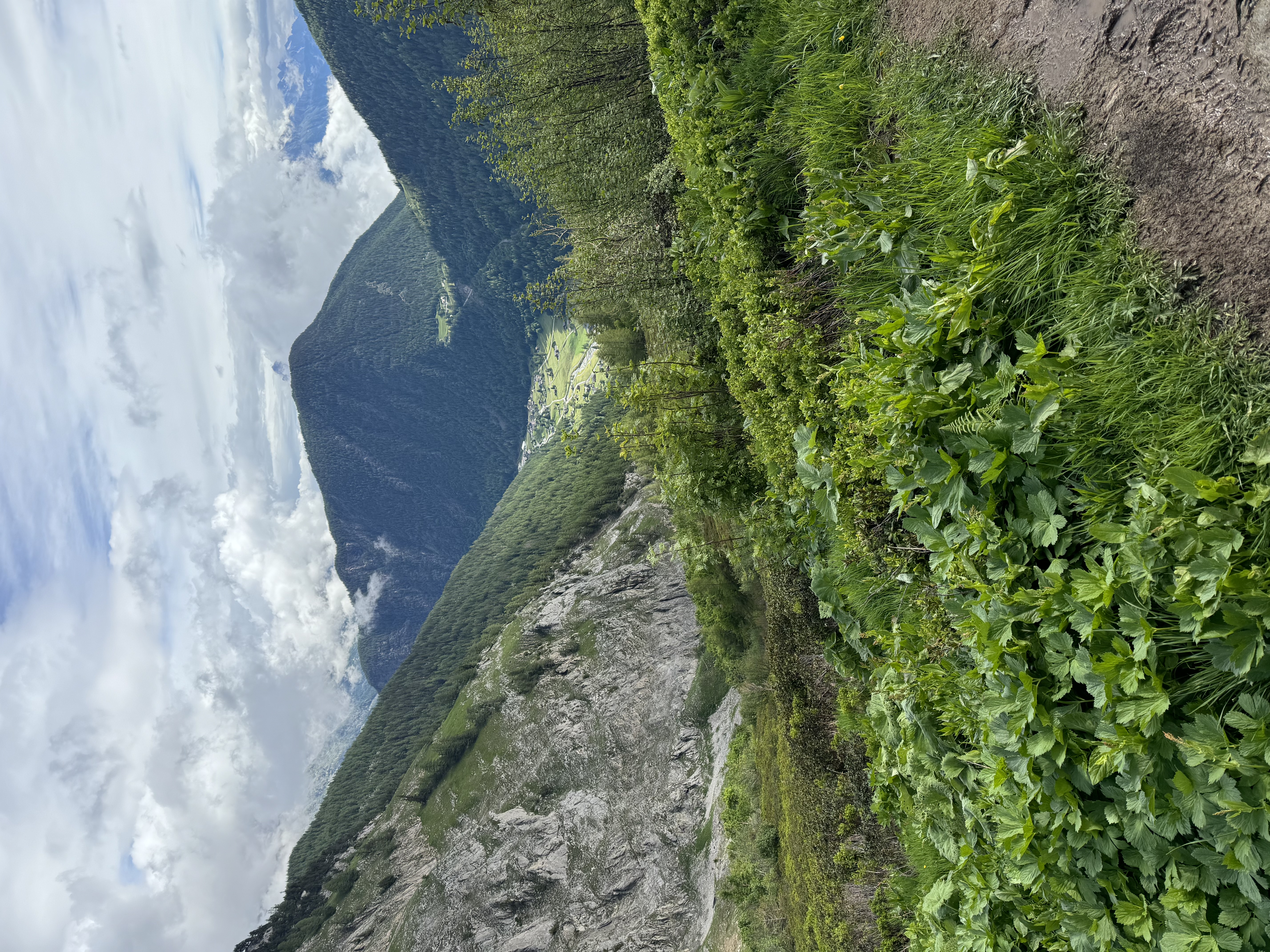 media_YUWX8AJS9U8K3GR7