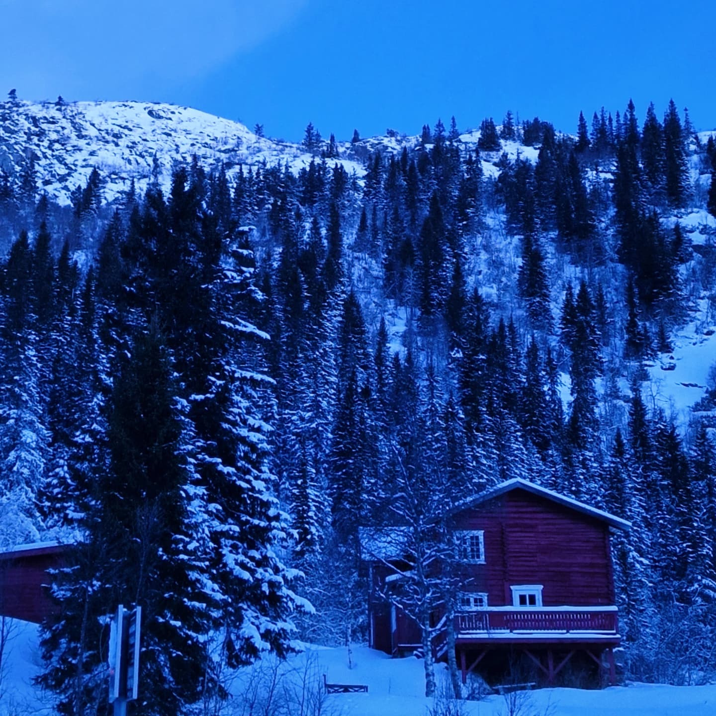 media_87LT395BWMVM5S7V