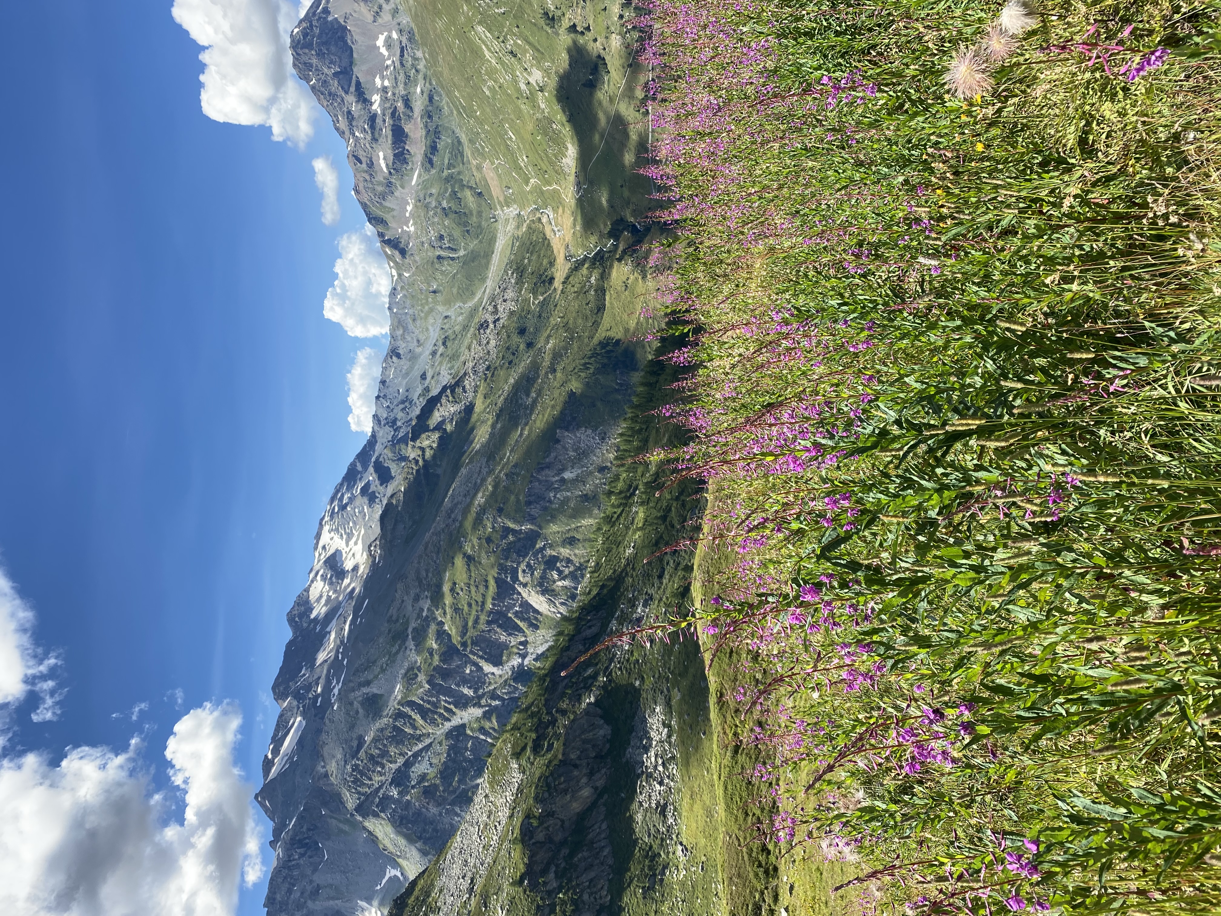 media_6WRHD8U8NCWCLFSY