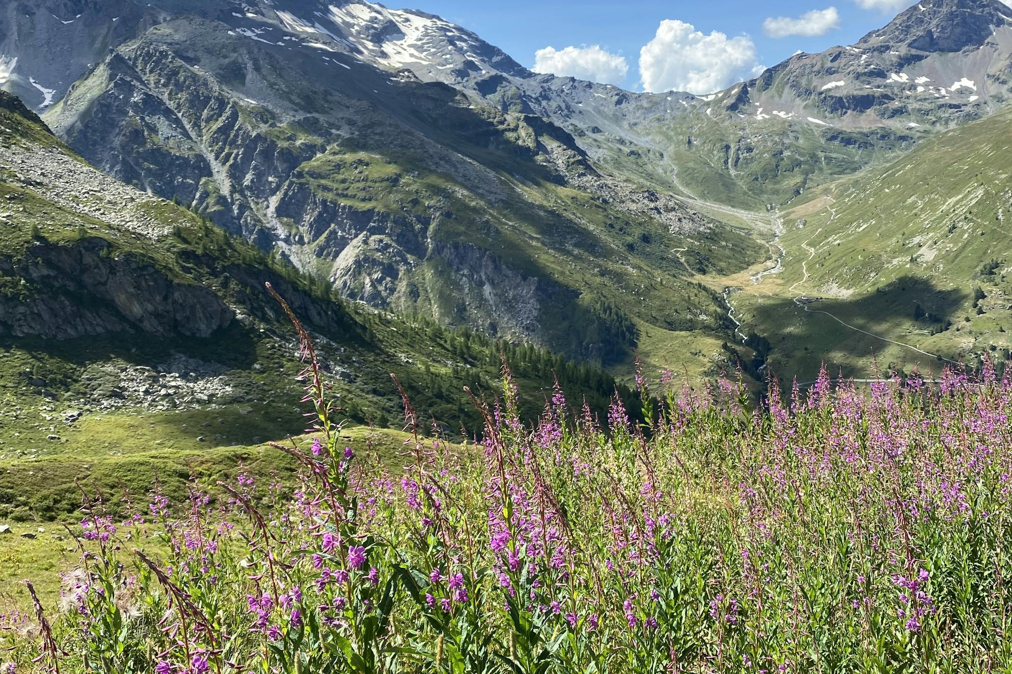 media_6WRHD8U8NCWCLFSY