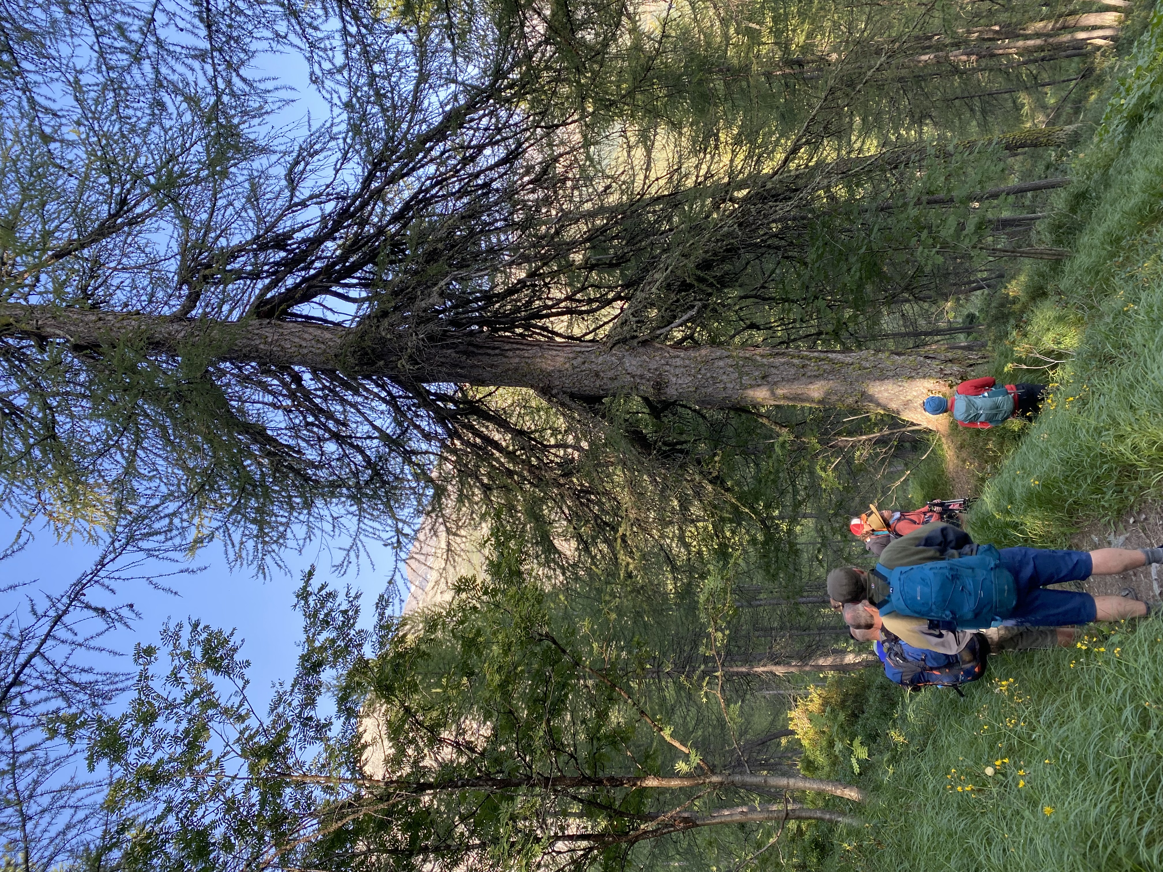 media_AAY7UXAXWNJCT5MD